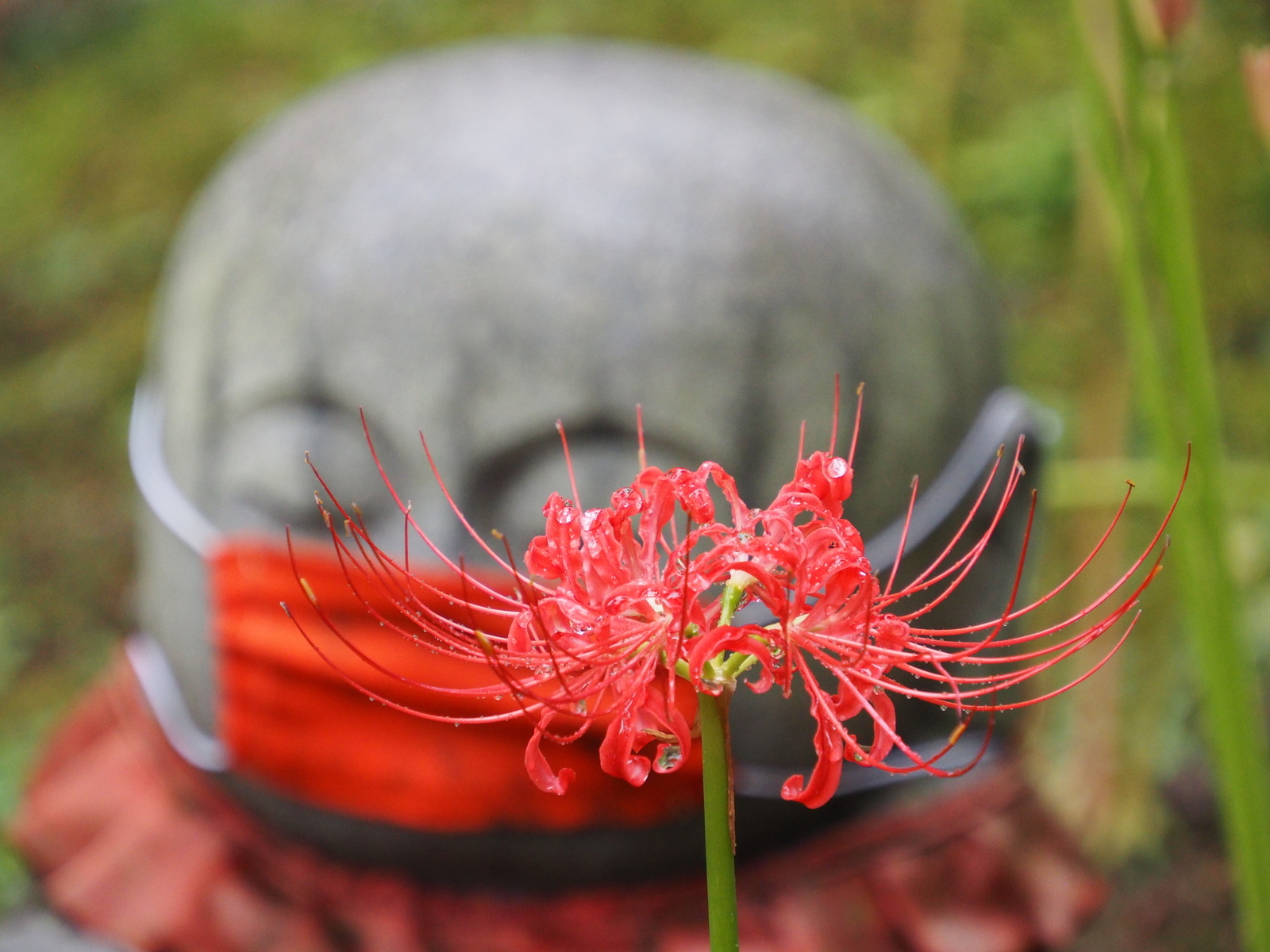 f:id:k10no3:20200926104253j:plain