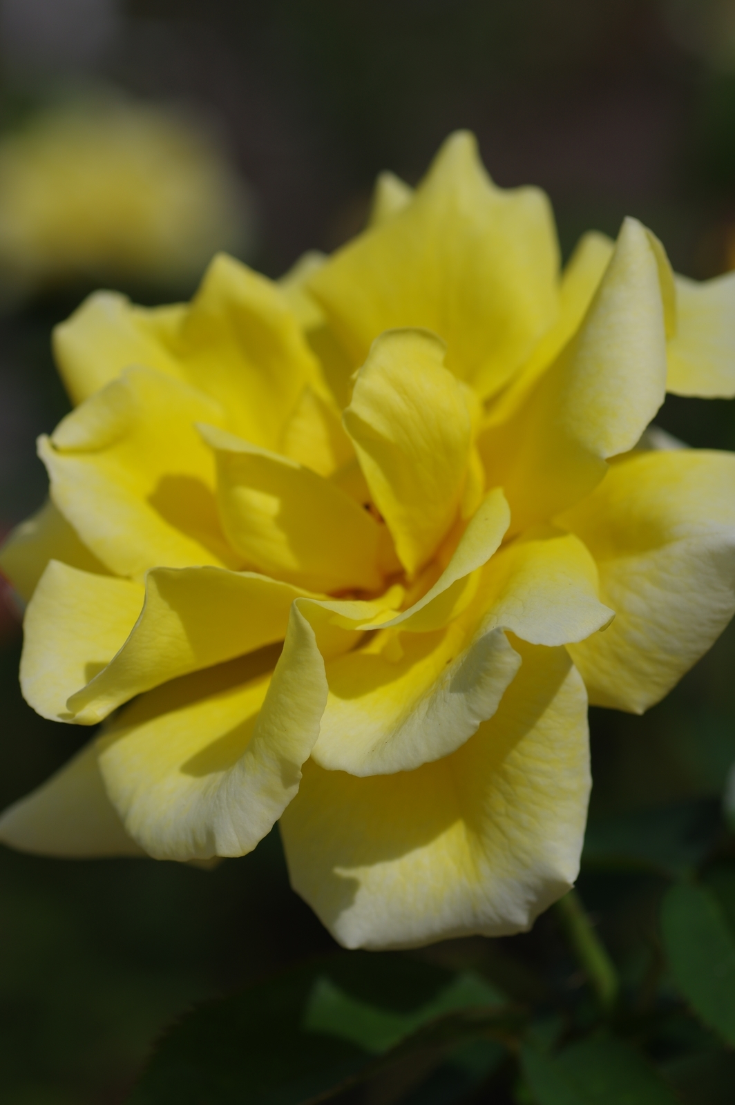 f:id:k10no3:20200930114128j:plain