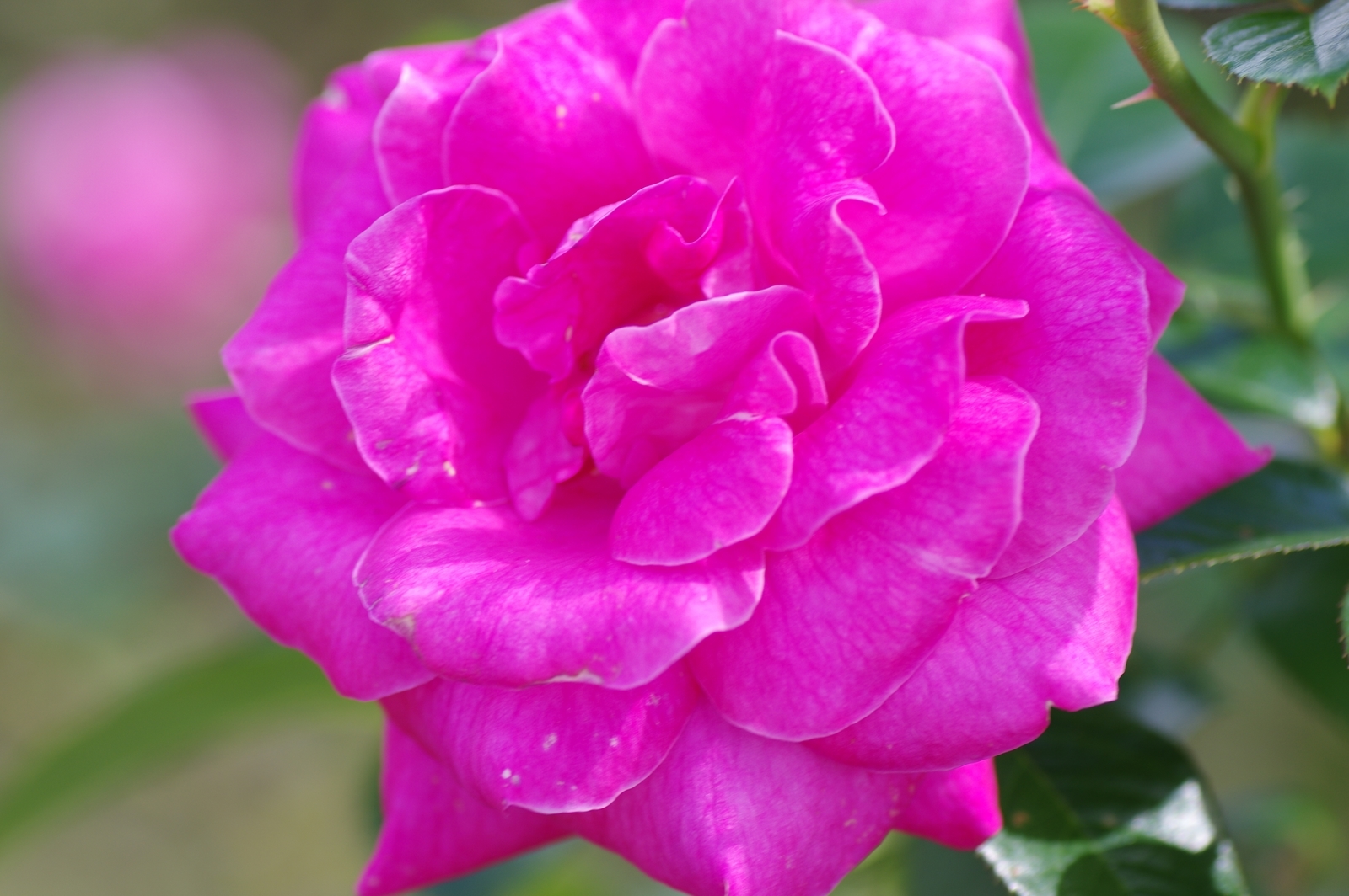 f:id:k10no3:20200930114141j:plain