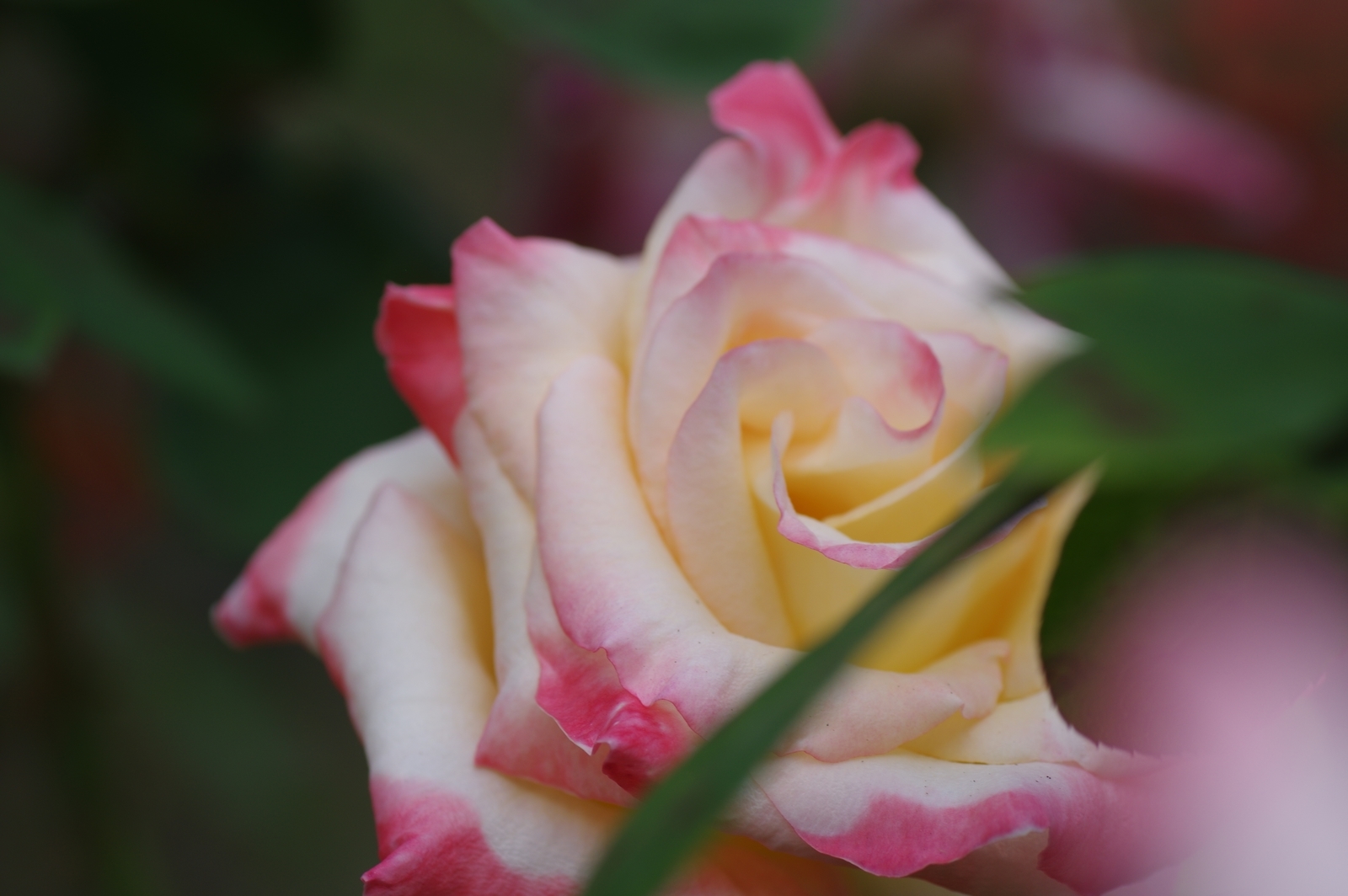 f:id:k10no3:20200930115436j:plain f:id:k10no3:20200930115436j:plain