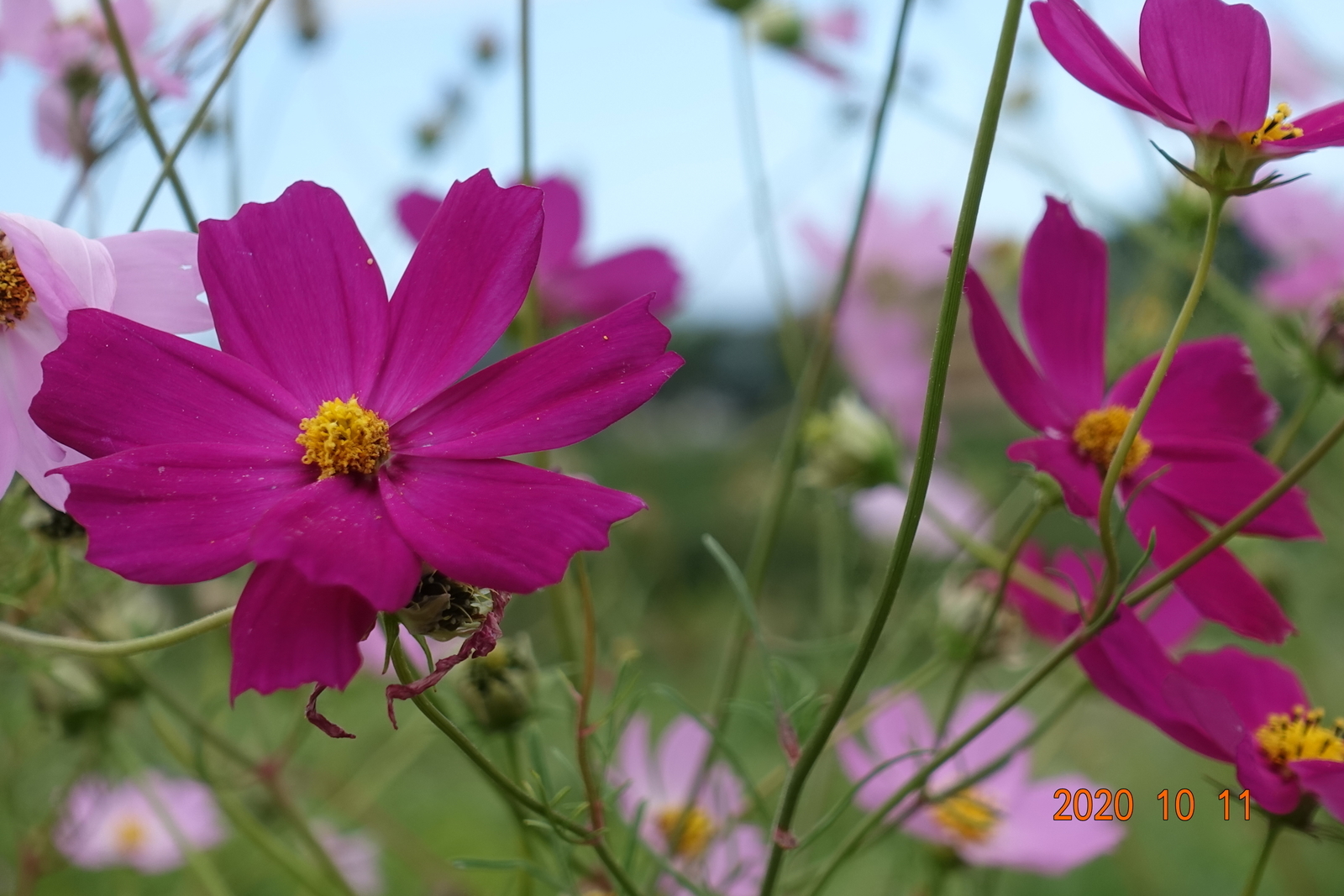 f:id:k10no3:20201011125318j:plain f:id:k10no3:20201011125318j:plain