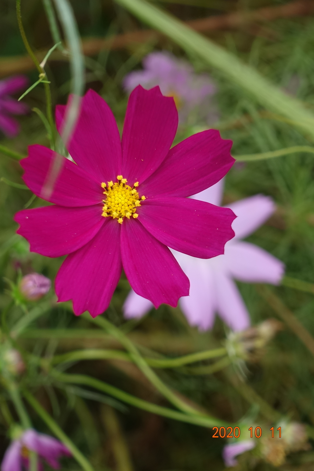 f:id:k10no3:20201011130245j:plain