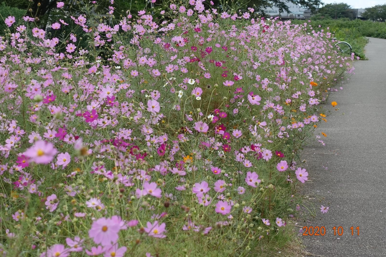 f:id:k10no3:20201011130357j:plain
