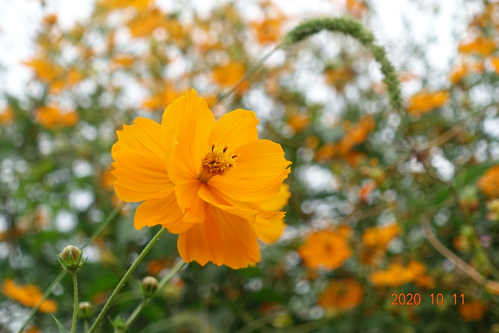 f:id:k10no3:20201011131230j:plain