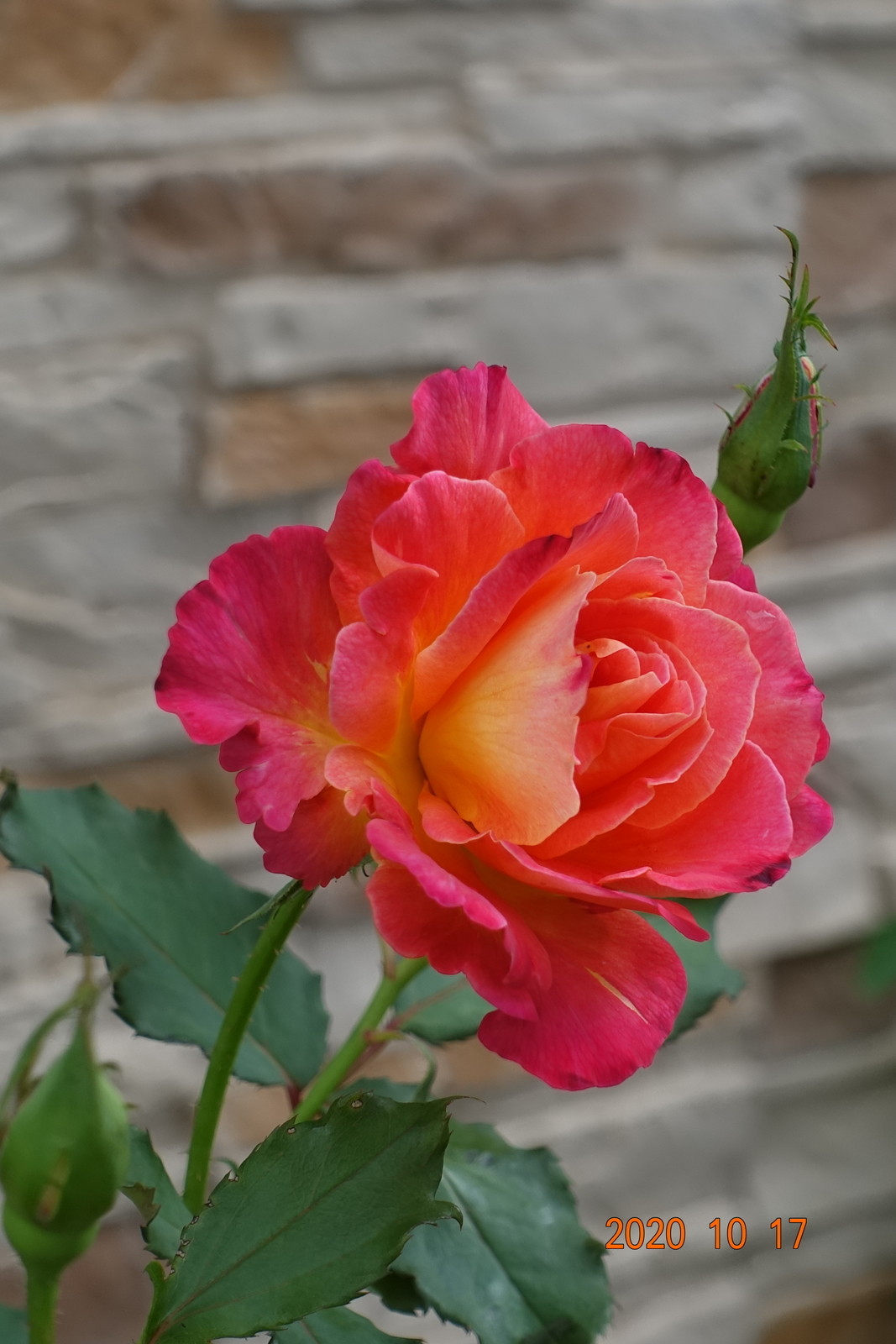 f:id:k10no3:20201017150426j:plain
