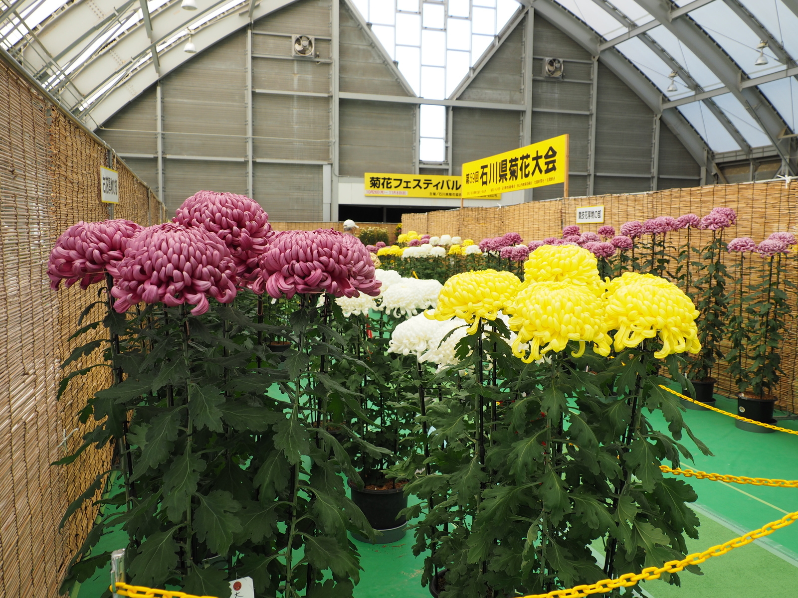 f:id:k10no3:20201103101905j:plain