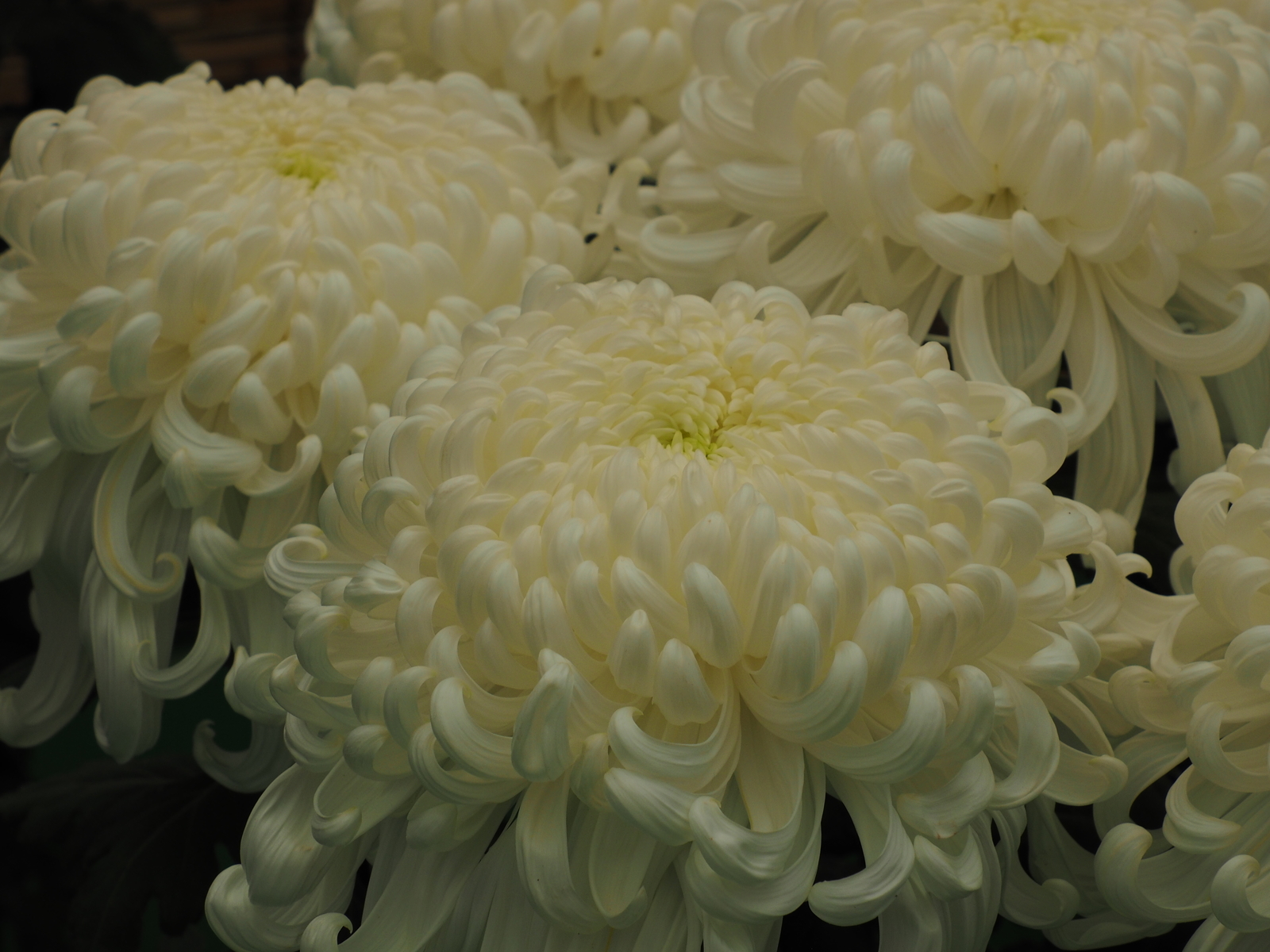 f:id:k10no3:20201103102044j:plain