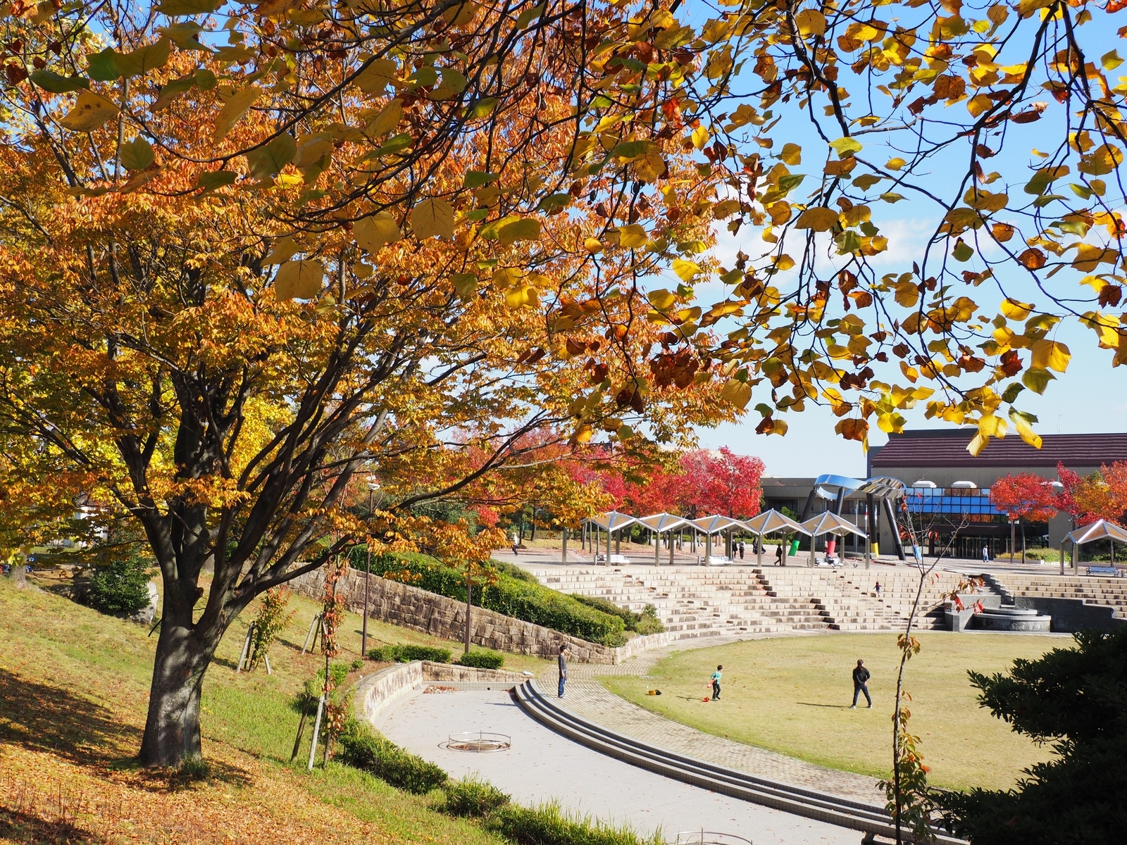 f:id:k10no3:20201103103755j:plain