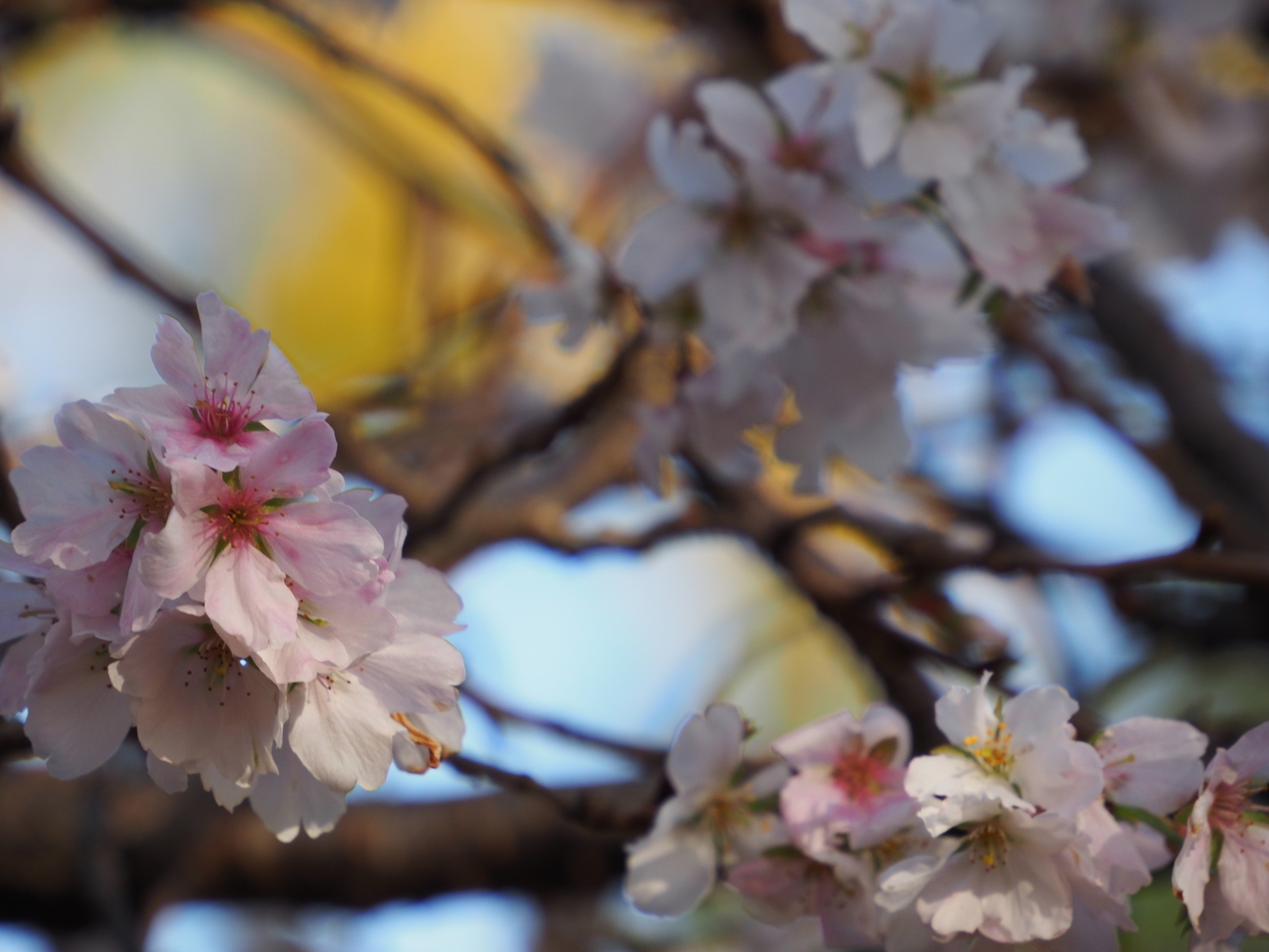 f:id:k10no3:20201114084735j:plain