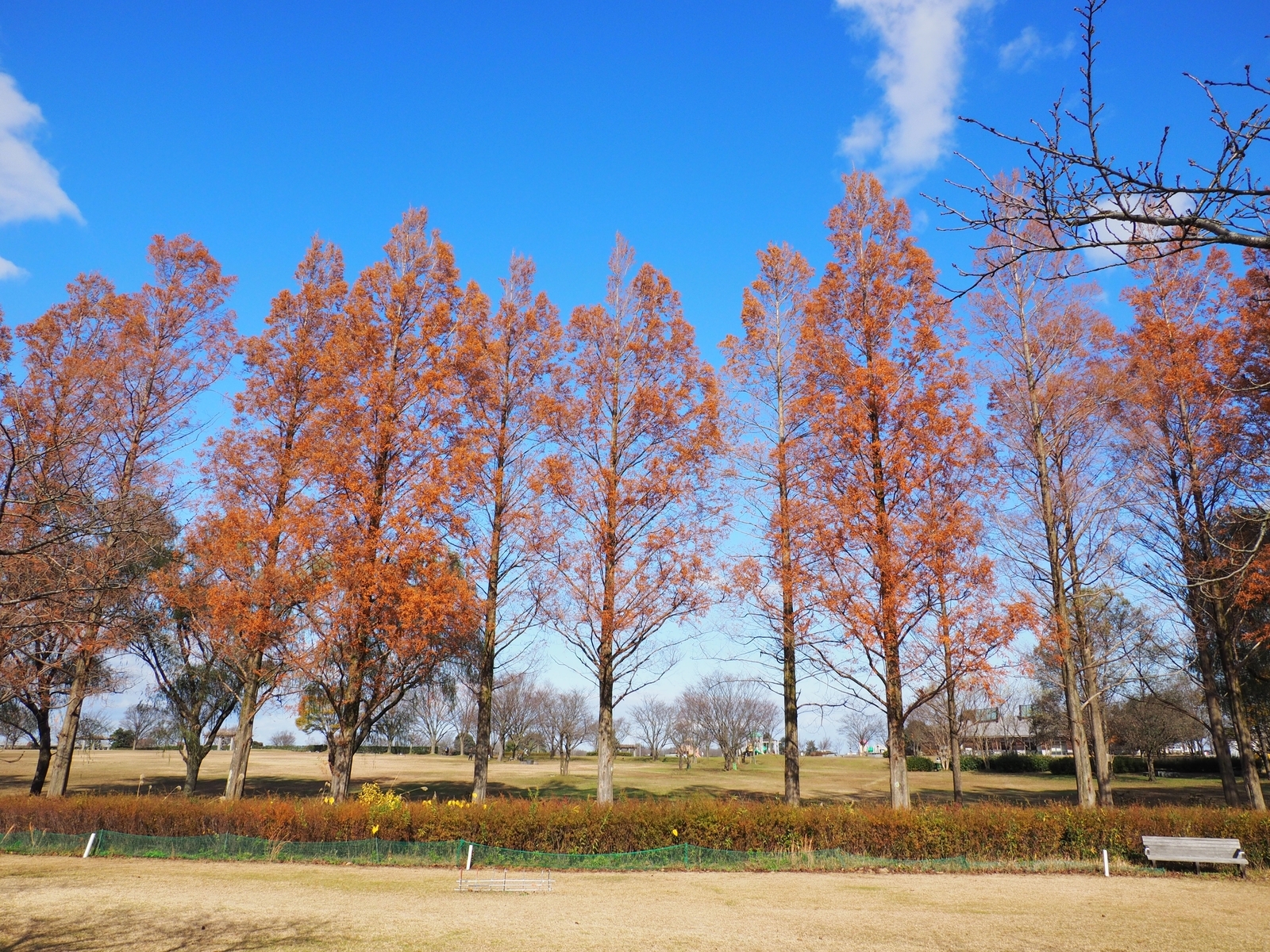f:id:k10no3:20201206120038j:plain