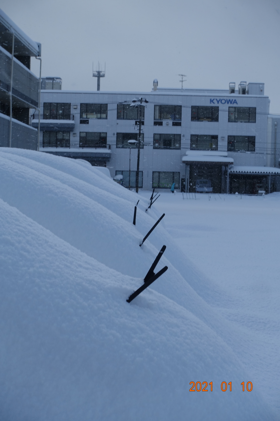 f:id:k10no3:20210110111413j:plain