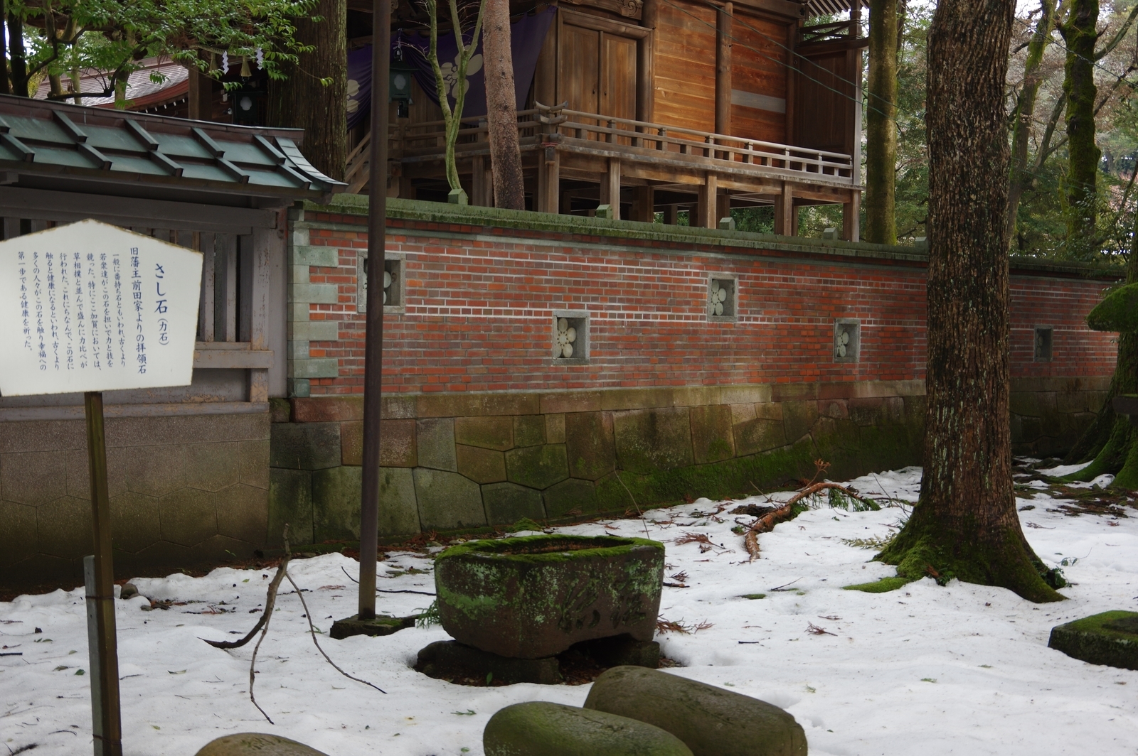 f:id:k10no3:20210117105543j:plain