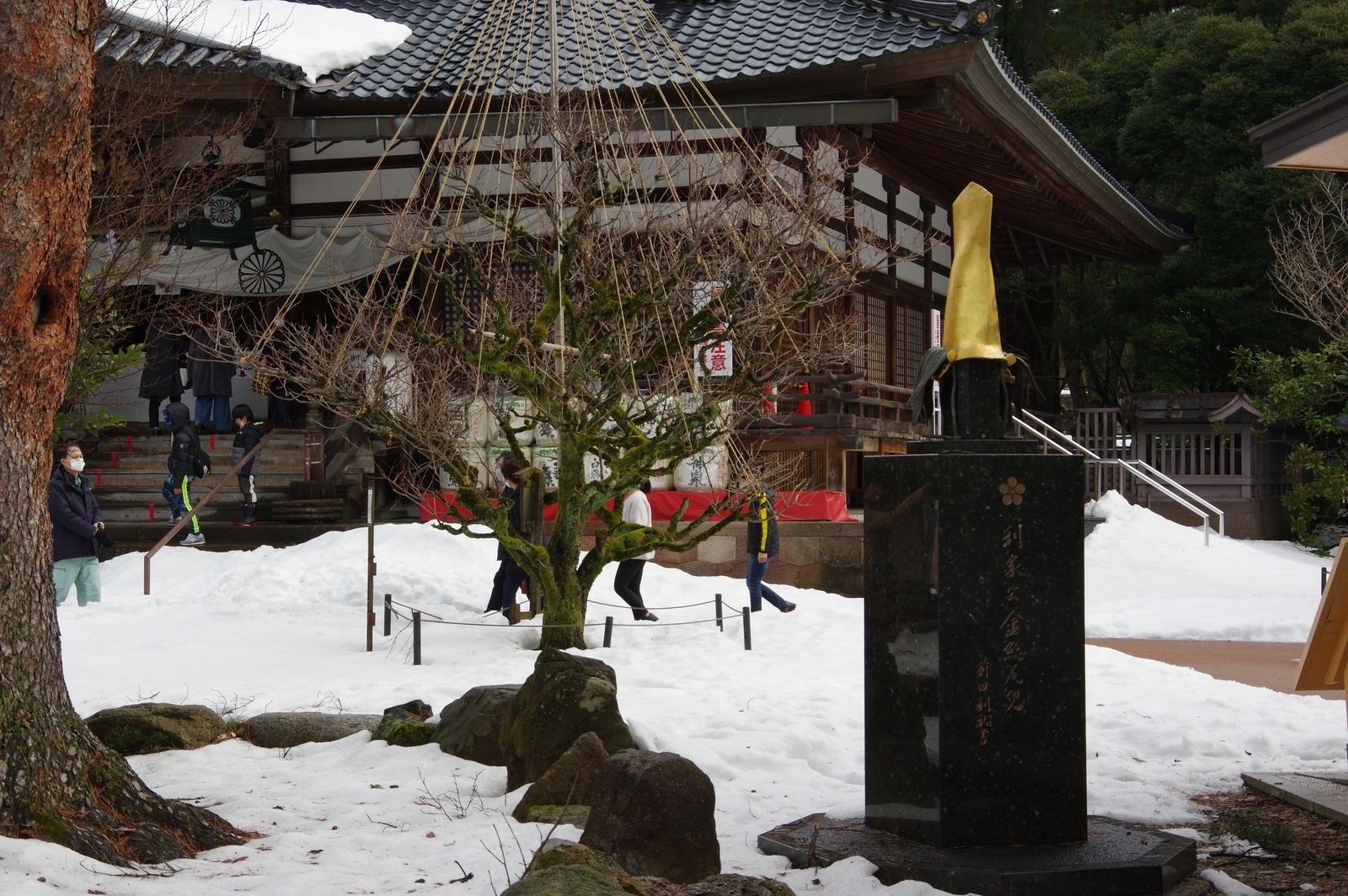 f:id:k10no3:20210117105746j:plain