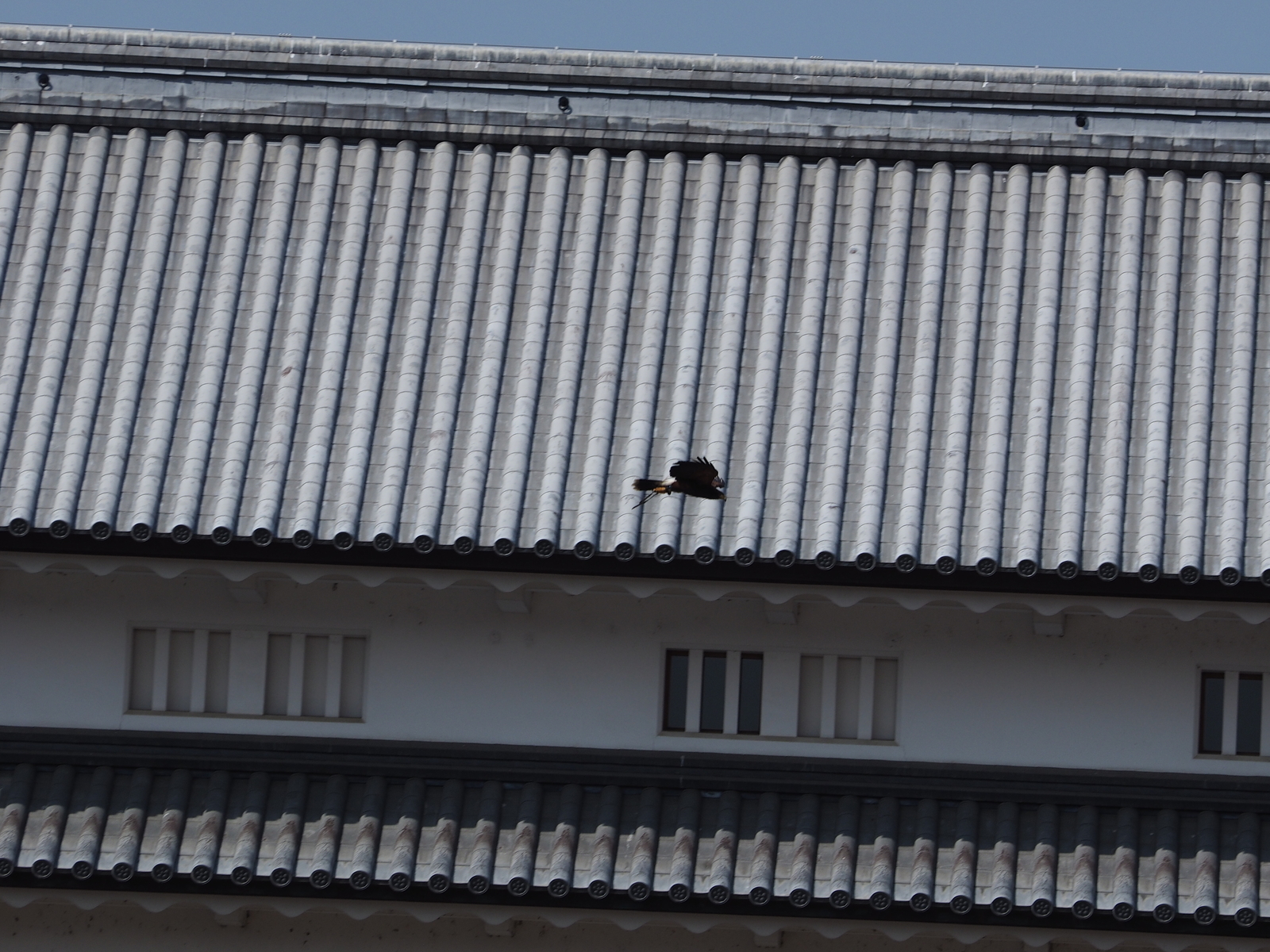 f:id:k10no3:20210221105031j:plain