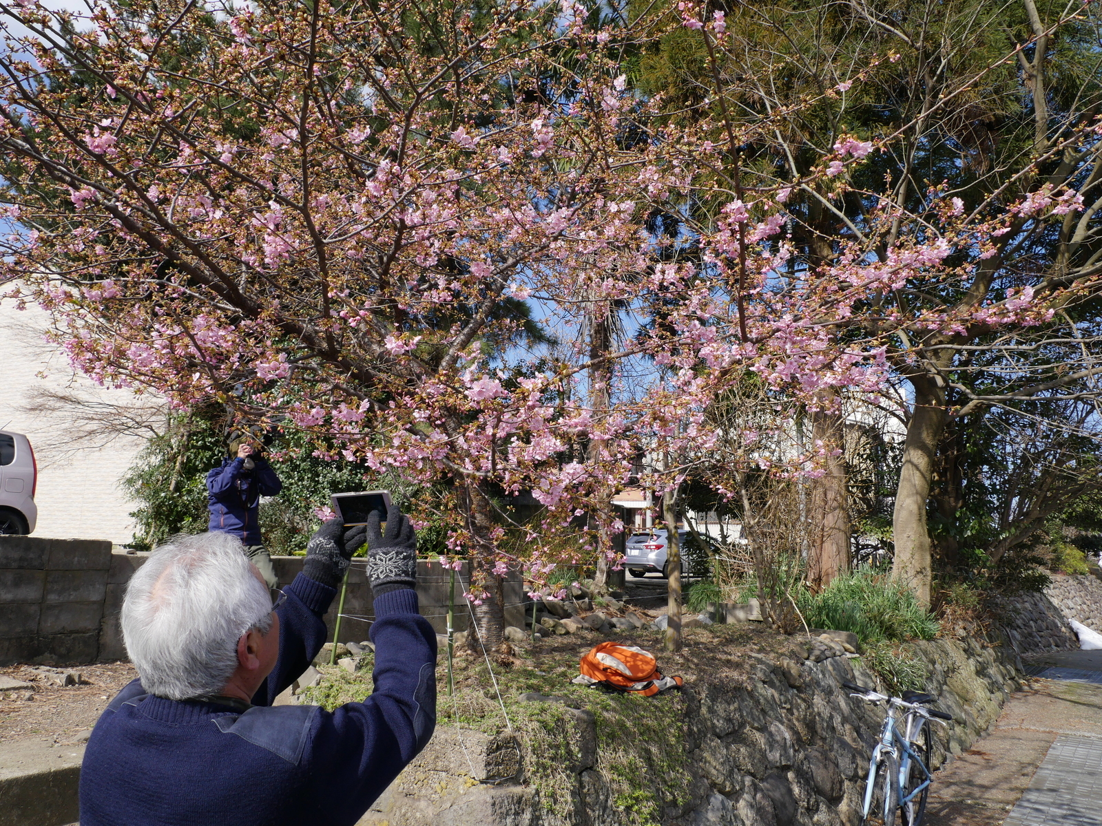 f:id:k10no3:20210227101351j:plain