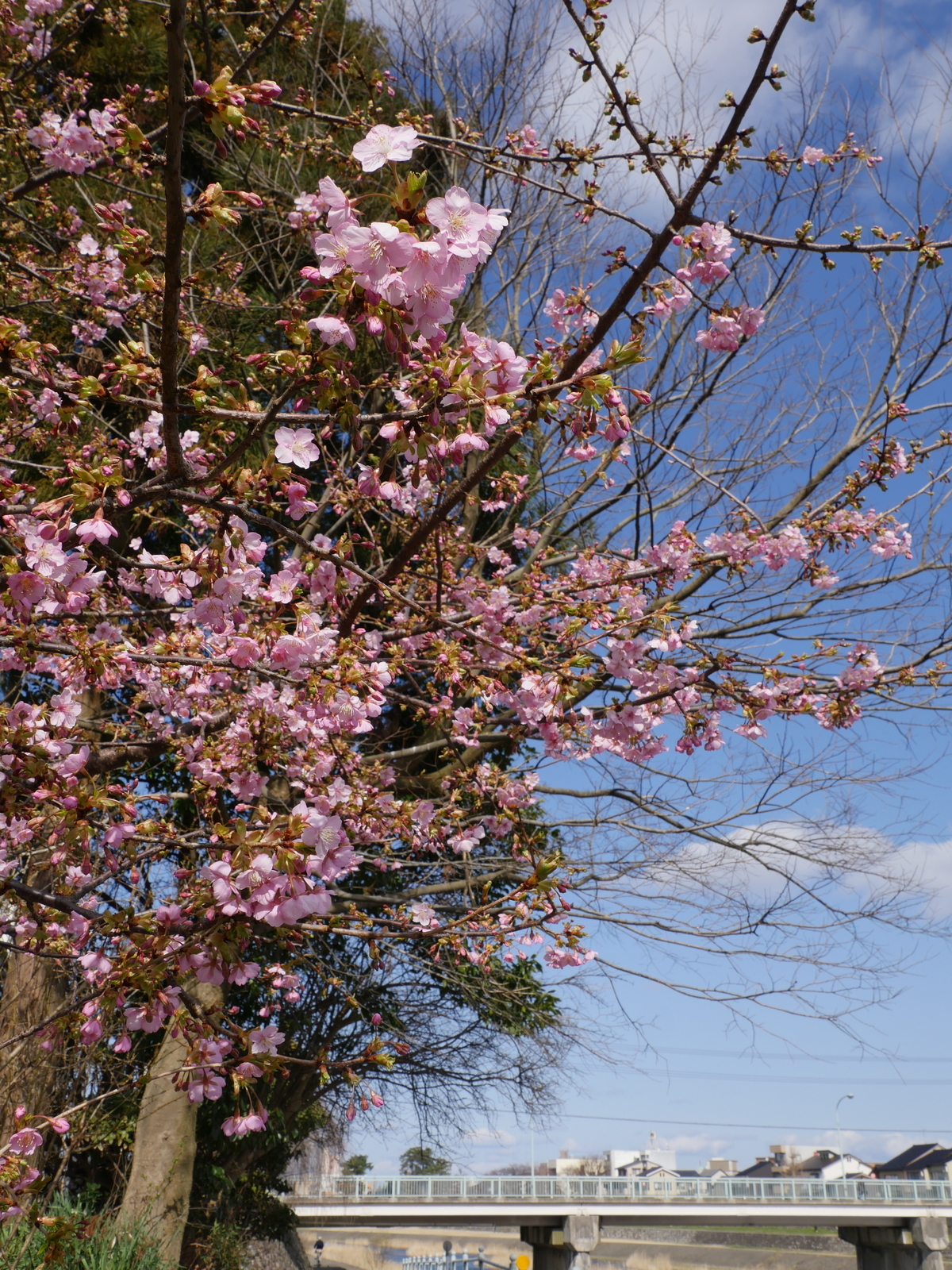 f:id:k10no3:20210227101526j:plain