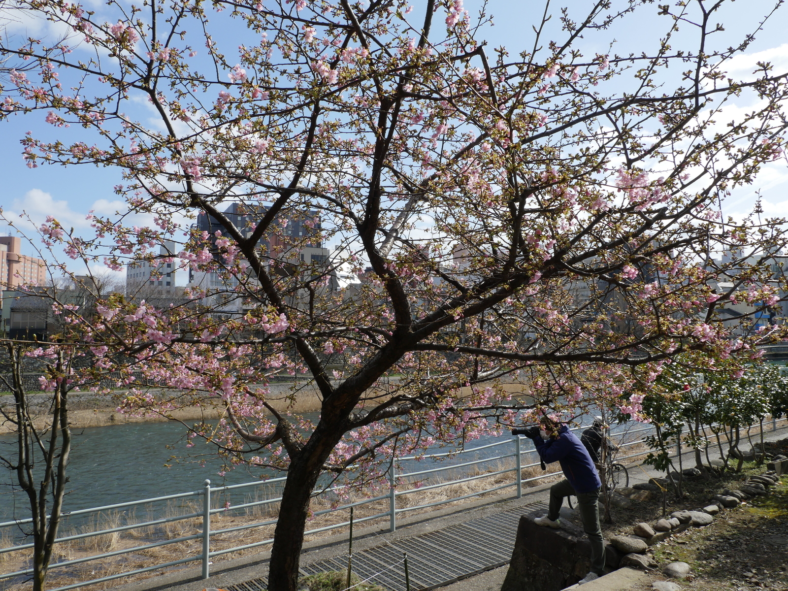 f:id:k10no3:20210227101732j:plain