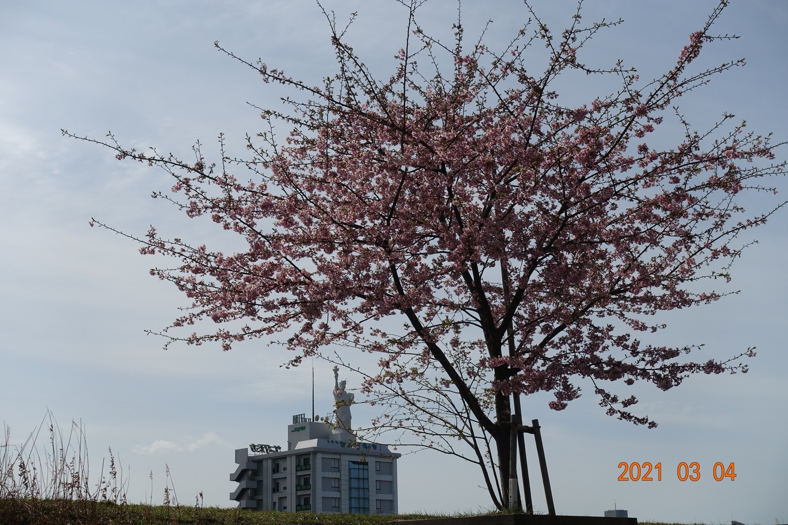 f:id:k10no3:20210304121444j:plain