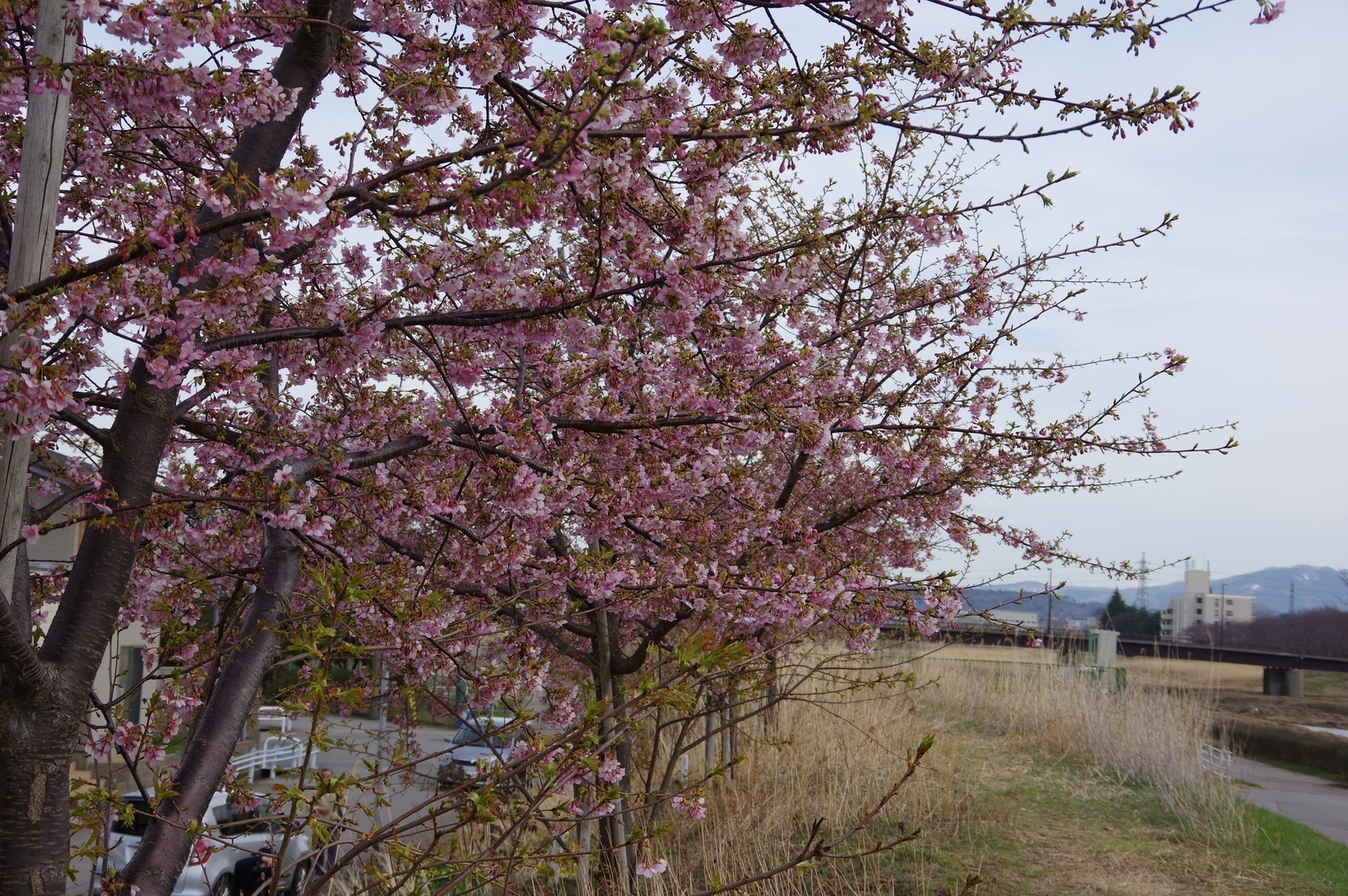 f:id:k10no3:20210304133056j:plain