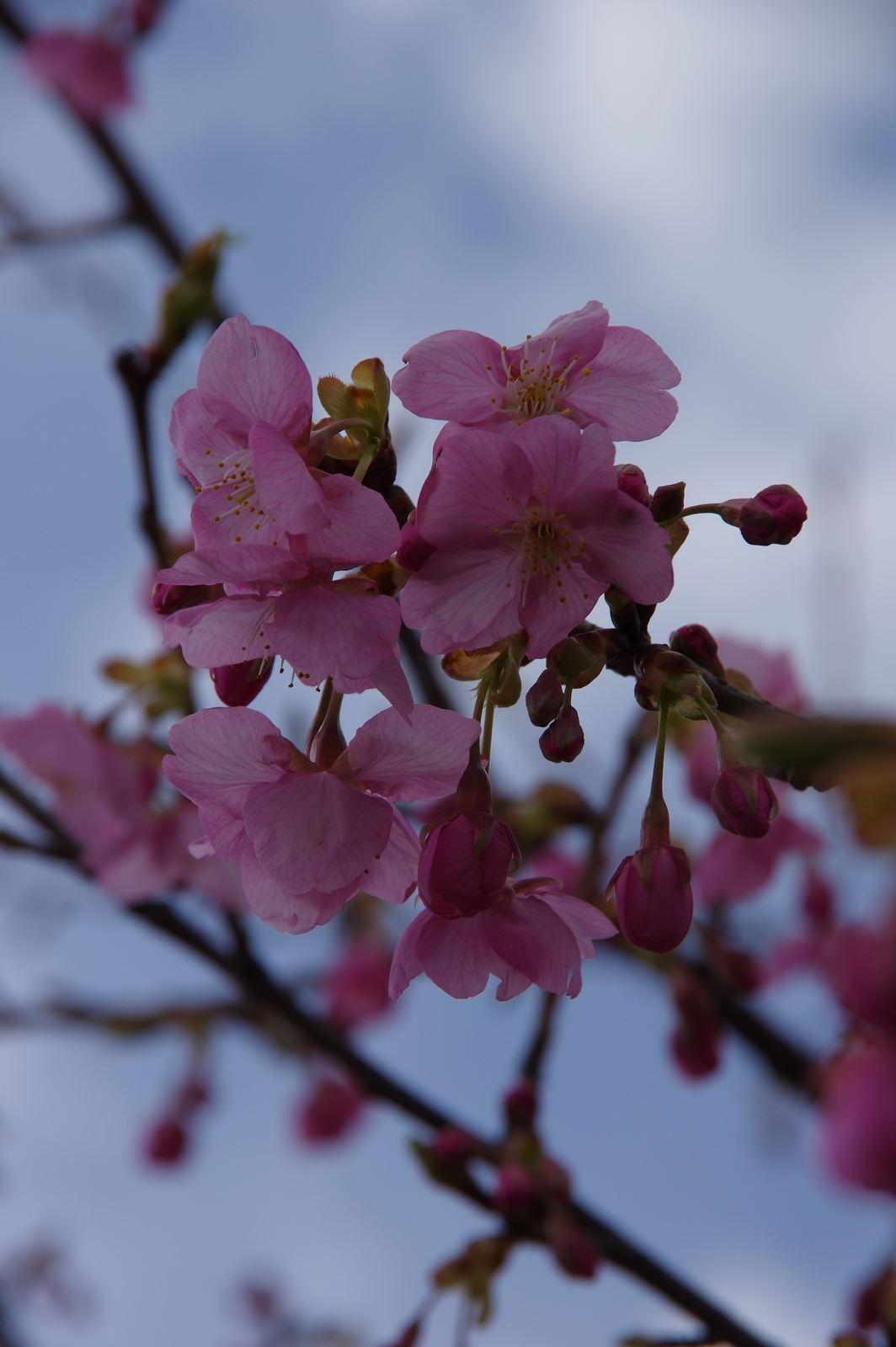 f:id:k10no3:20210307110042j:plain