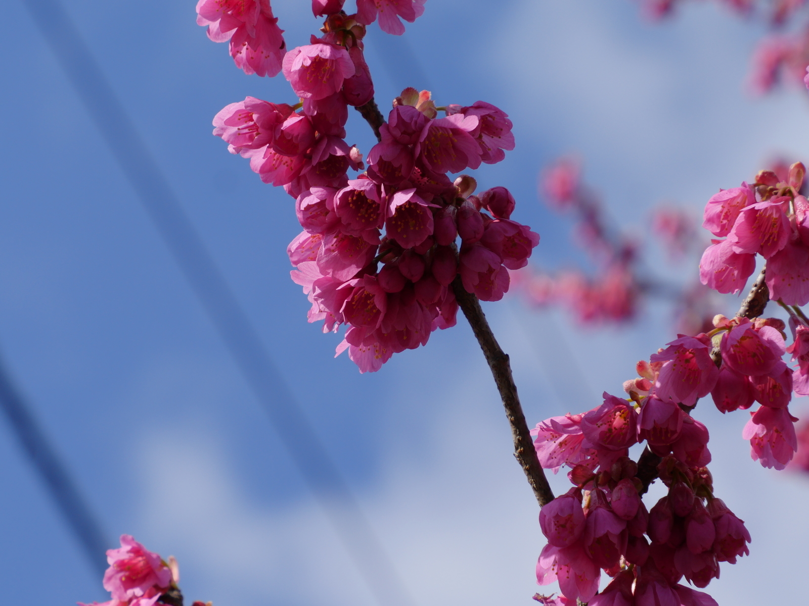 f:id:k10no3:20210314091611j:plain