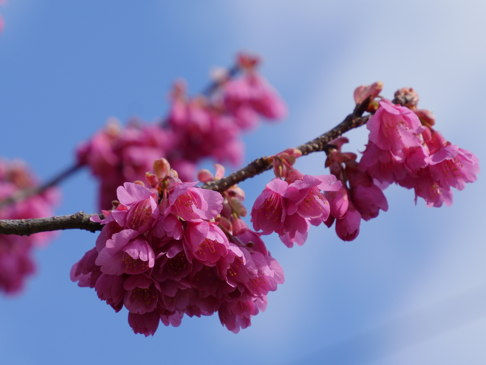 f:id:k10no3:20210314091652j:plain