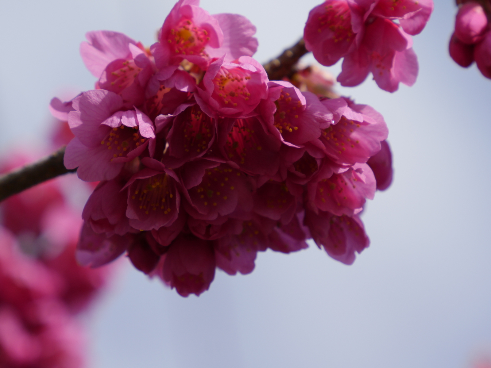 f:id:k10no3:20210314091703j:plain