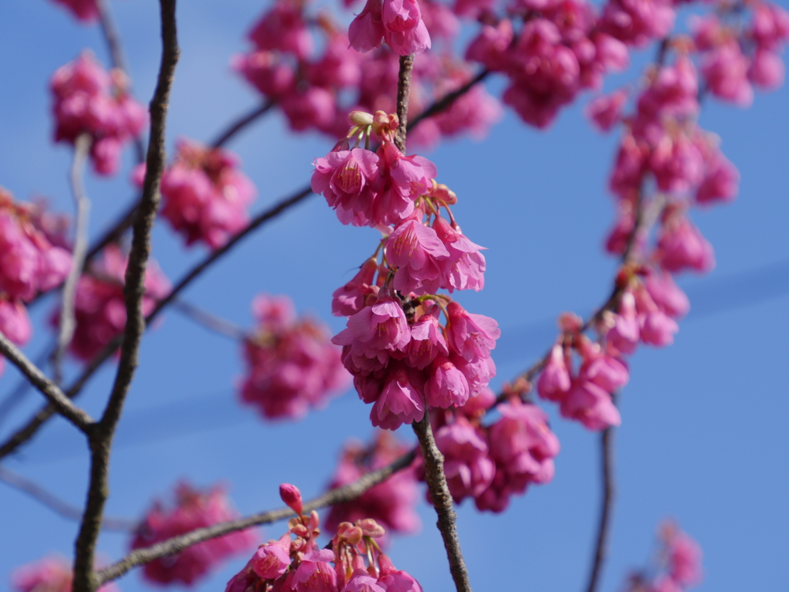 f:id:k10no3:20210314091805j:plain