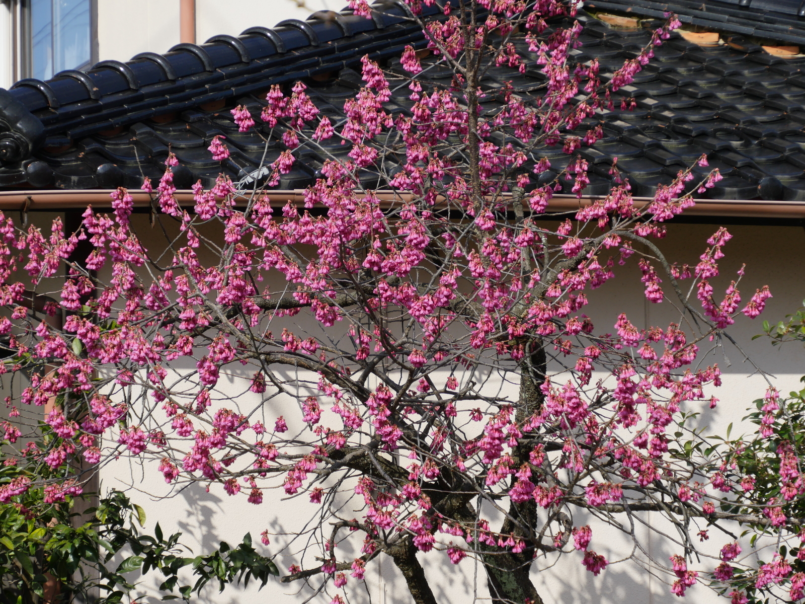 f:id:k10no3:20210314092123j:plain