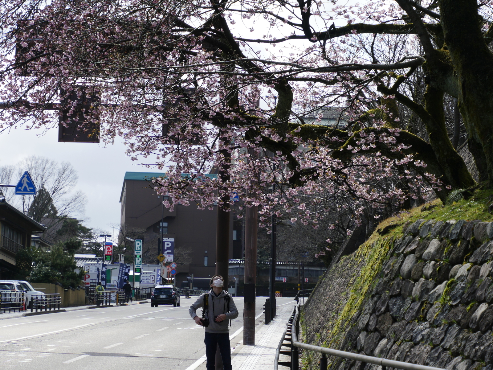 f:id:k10no3:20210314094802j:plain