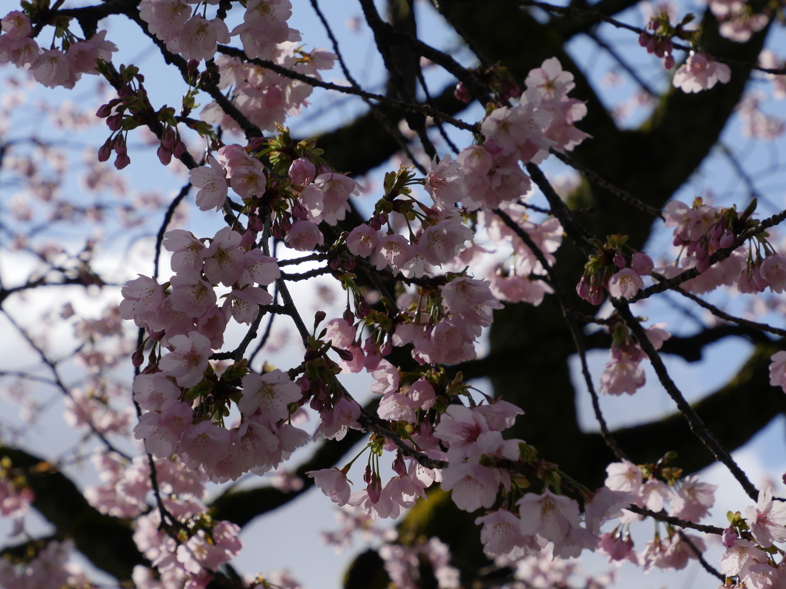 f:id:k10no3:20210314094840j:plain