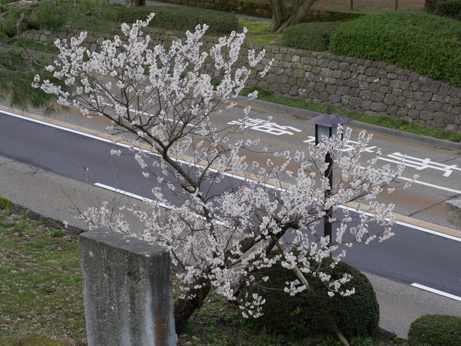 f:id:k10no3:20210314095612j:plain