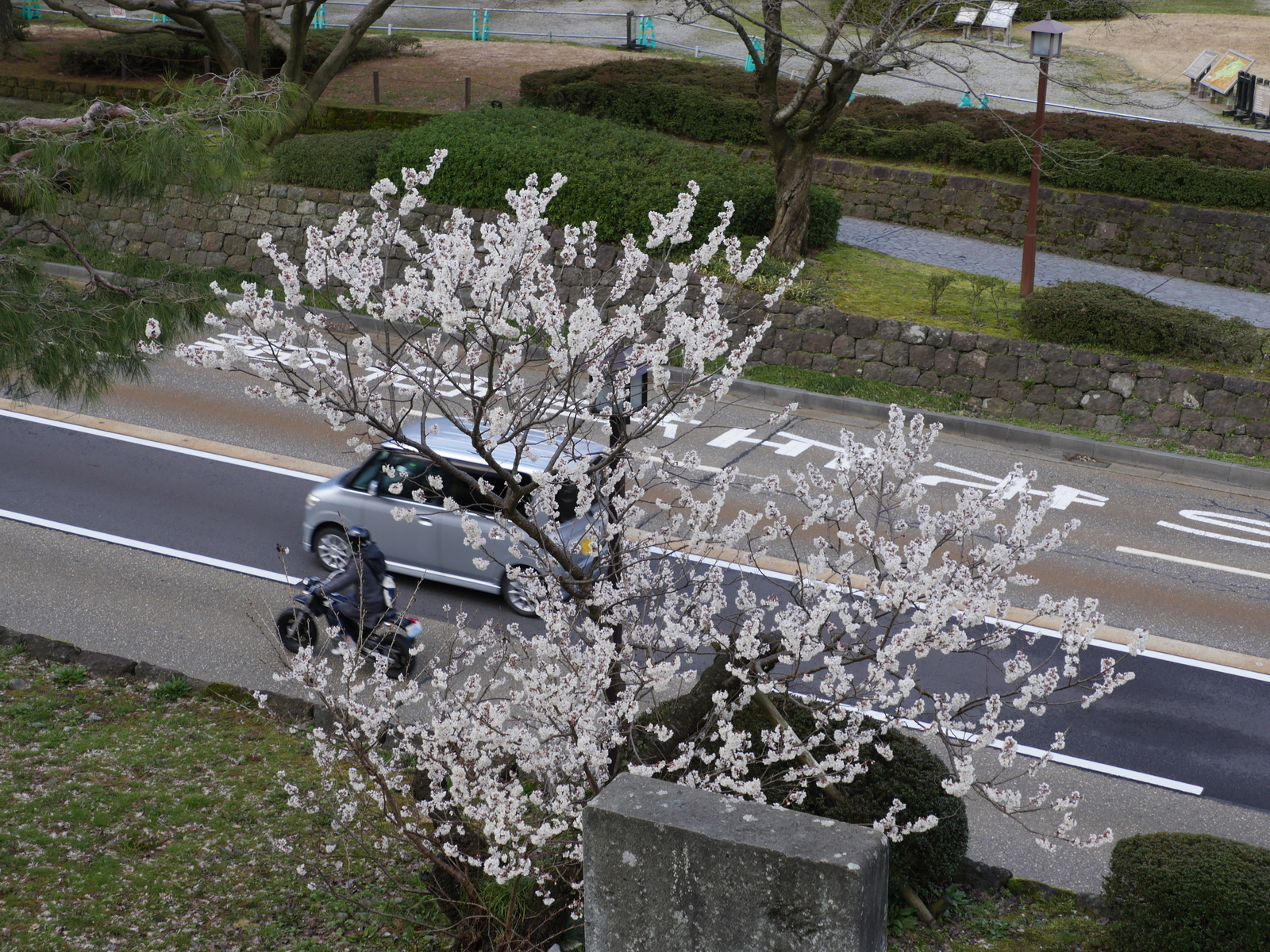 f:id:k10no3:20210314095740j:plain