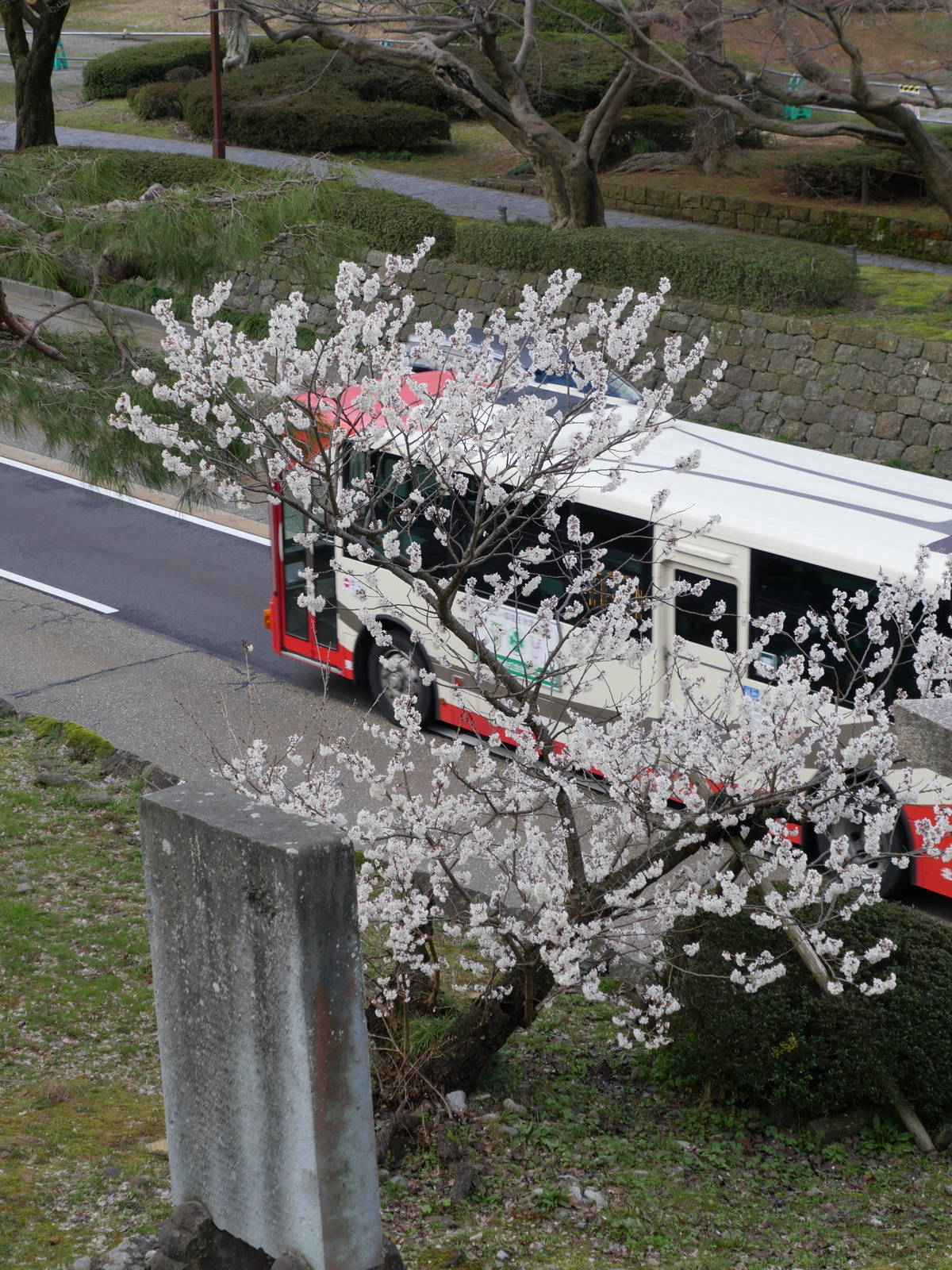 f:id:k10no3:20210314095807j:plain