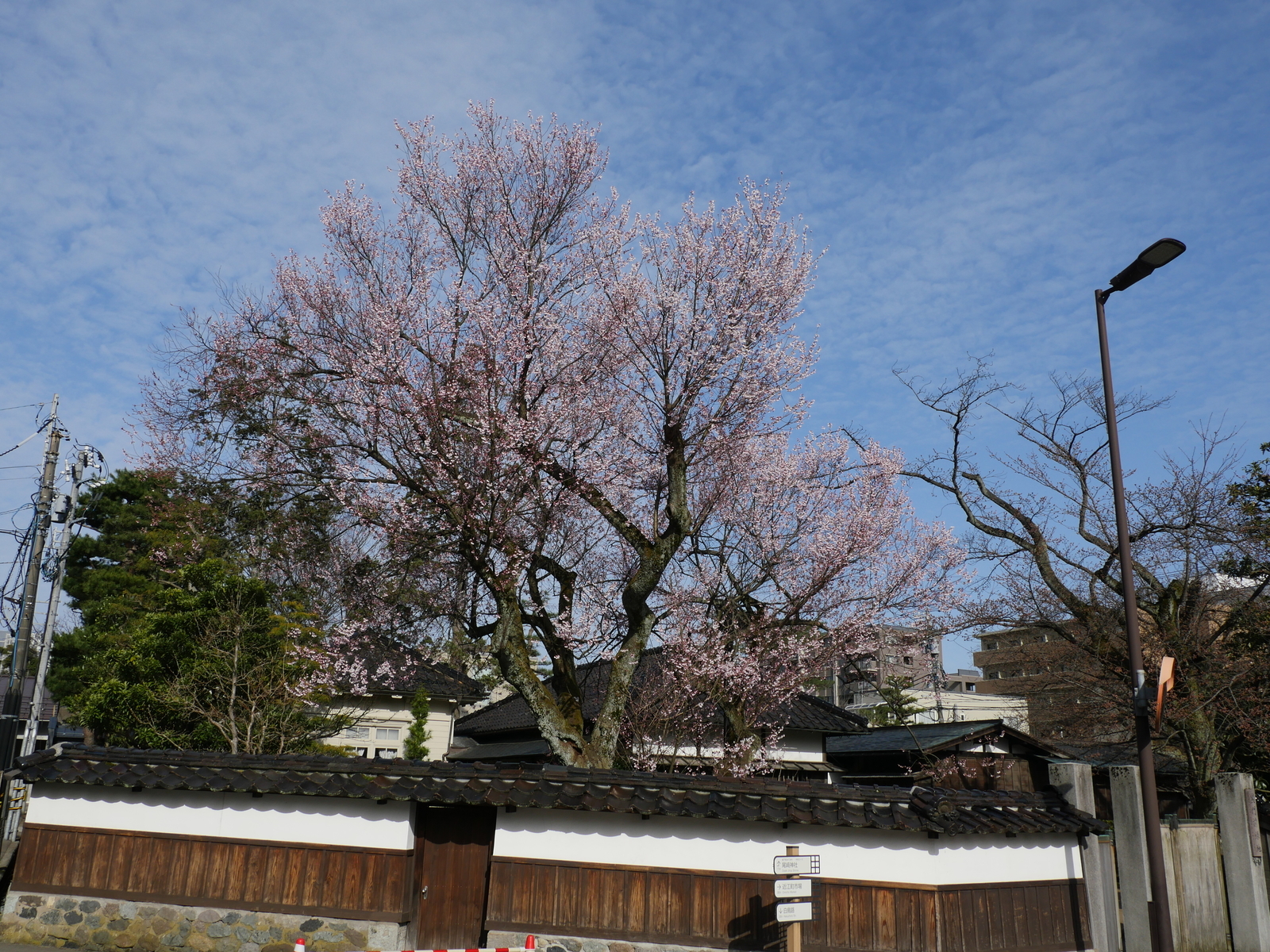 f:id:k10no3:20210320083242j:plain