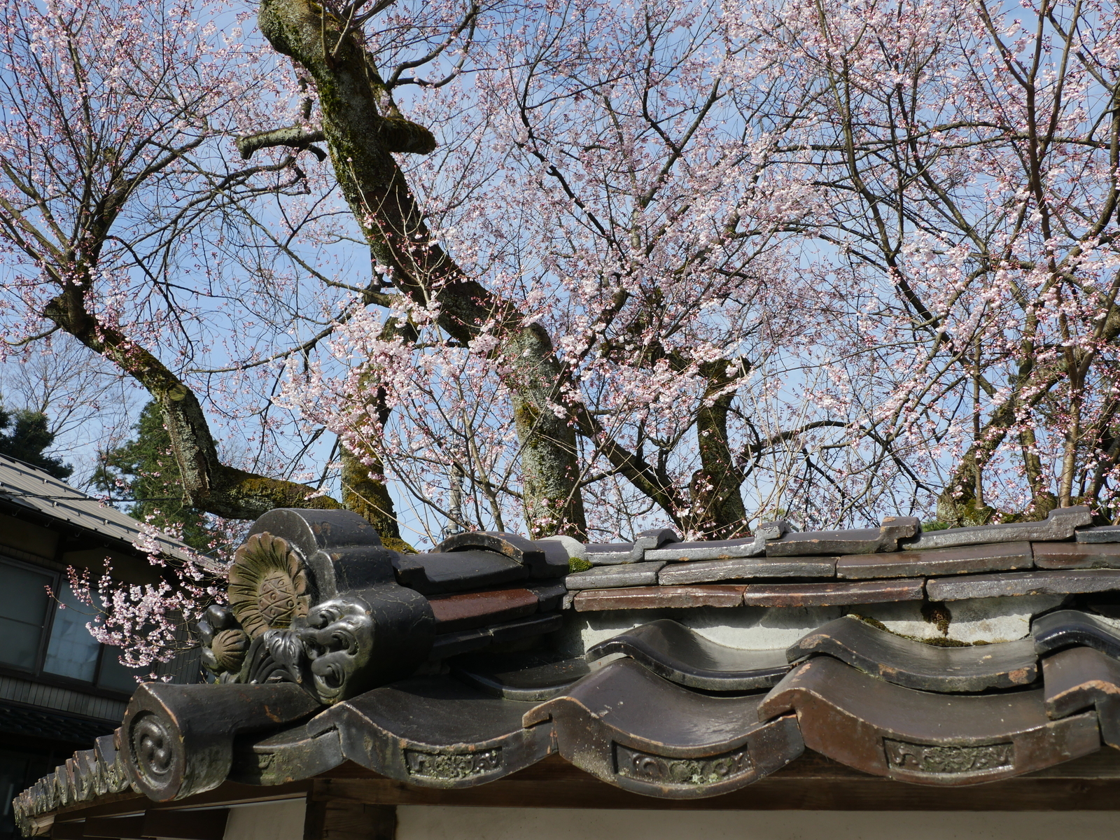 f:id:k10no3:20210320083420j:plain