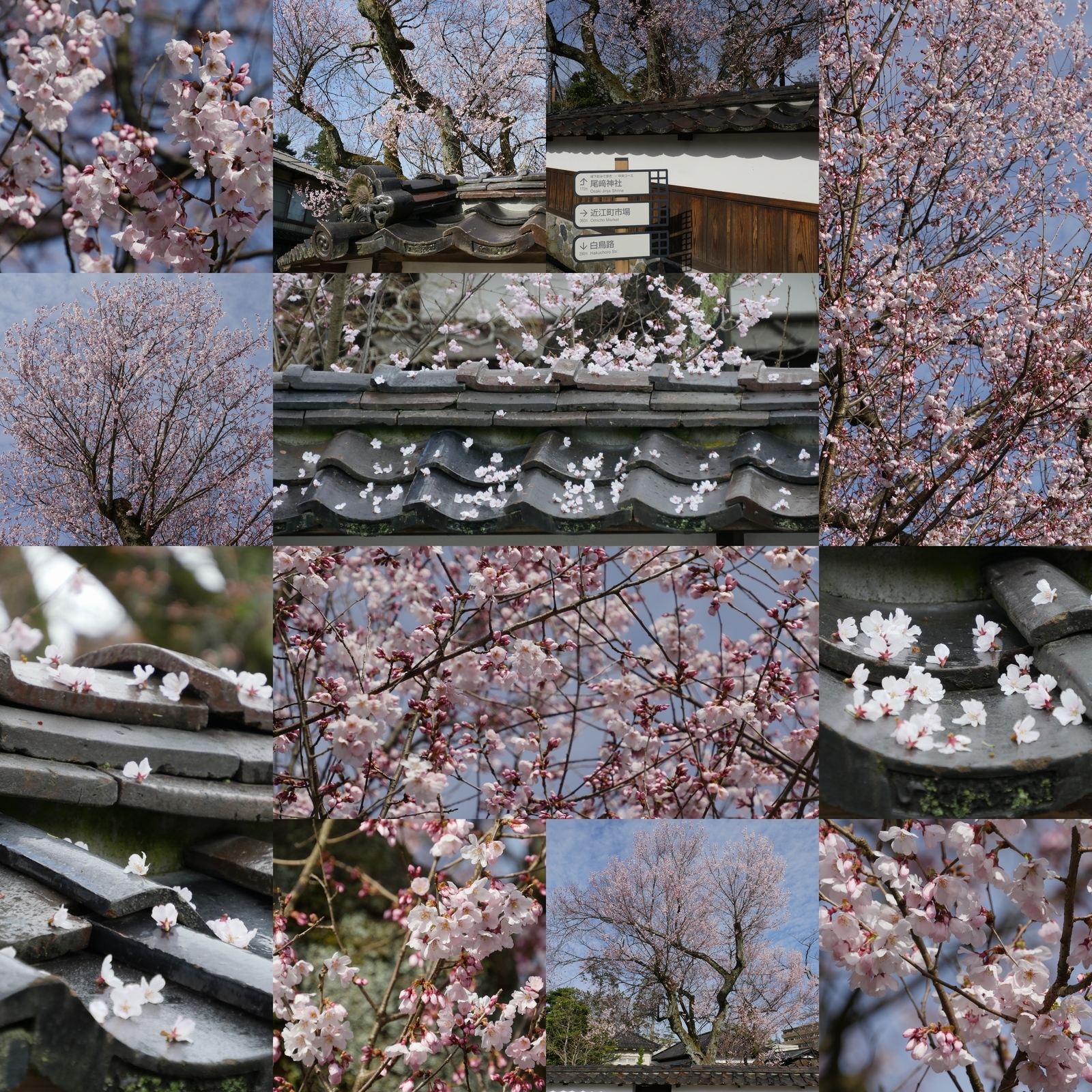 f:id:k10no3:20210320083427j:plain