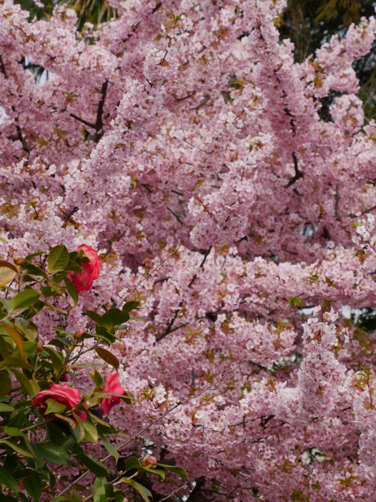 f:id:k10no3:20210320085934j:plain