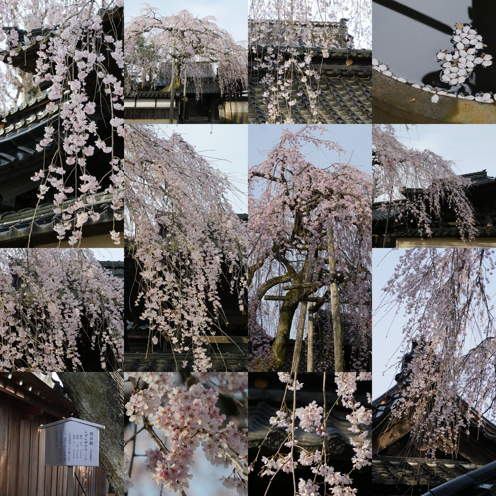 f:id:k10no3:20210327073627j:plain