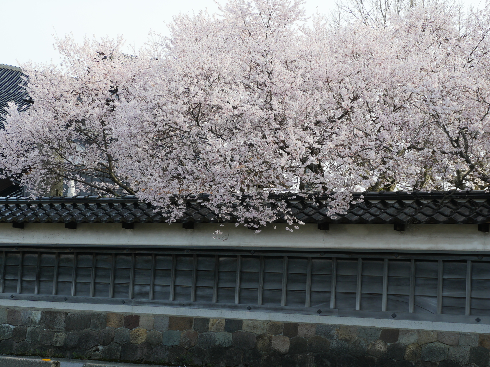 f:id:k10no3:20210327085513j:plain