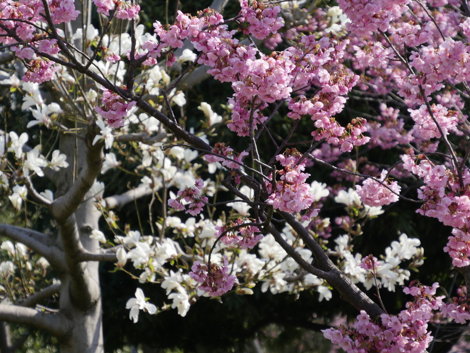 f:id:k10no3:20210327093027j:plain