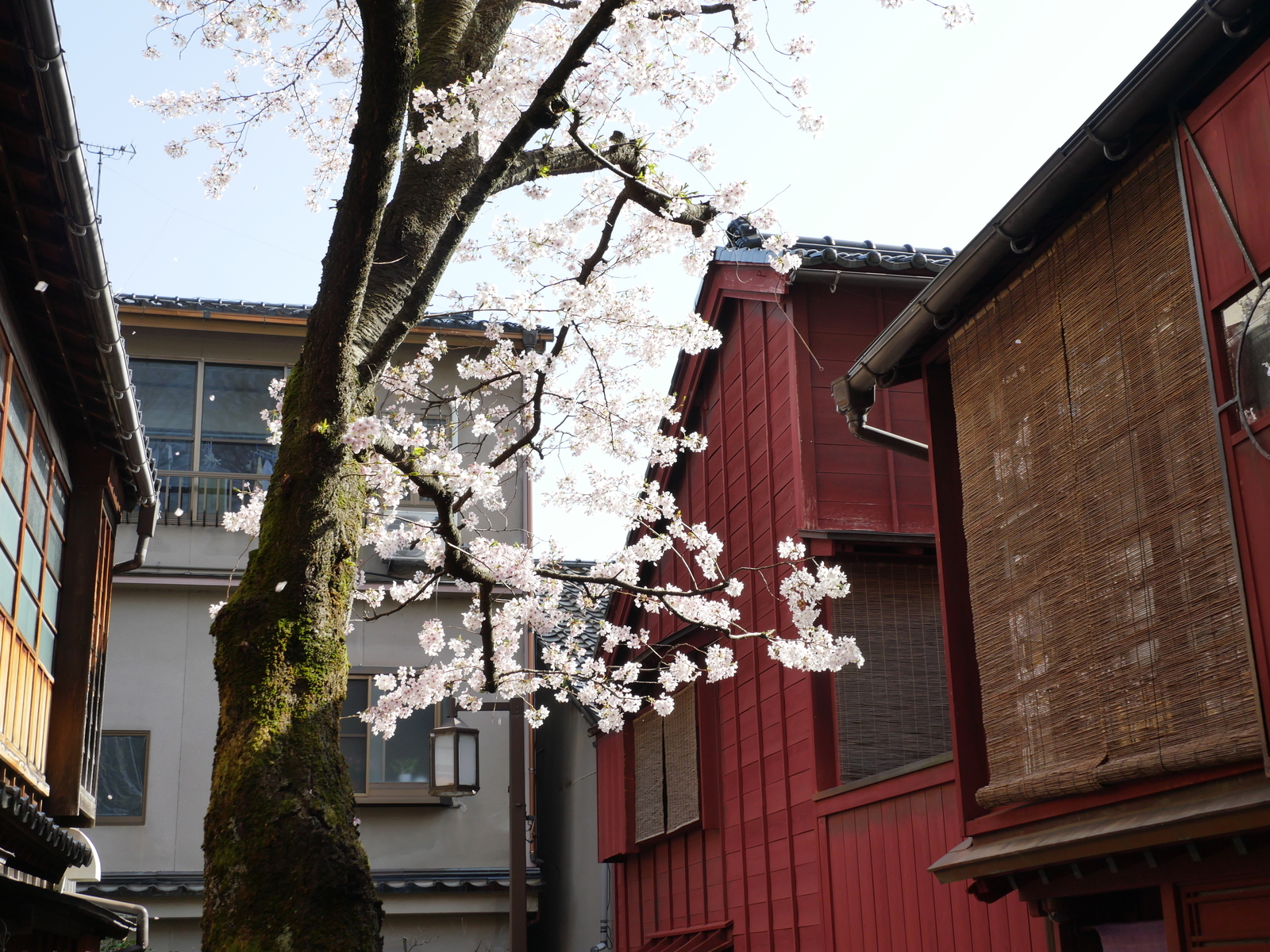 f:id:k10no3:20210331085756j:plain