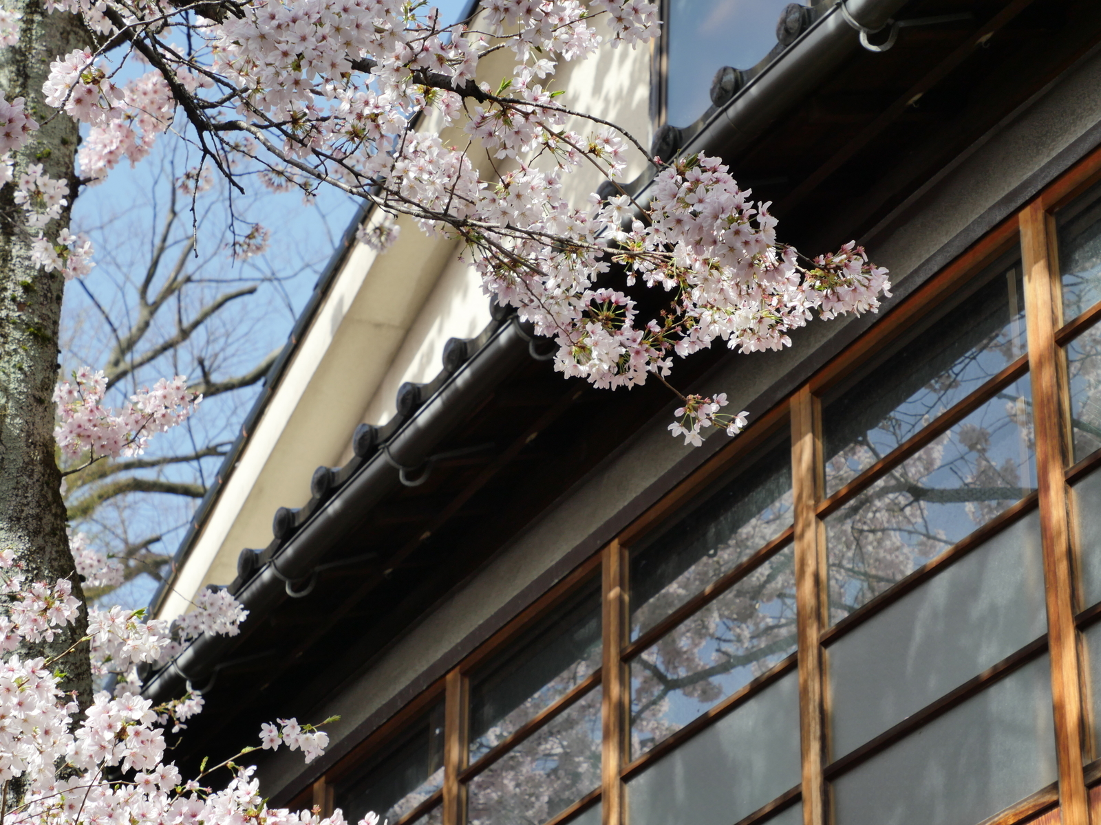 f:id:k10no3:20210331090002j:plain