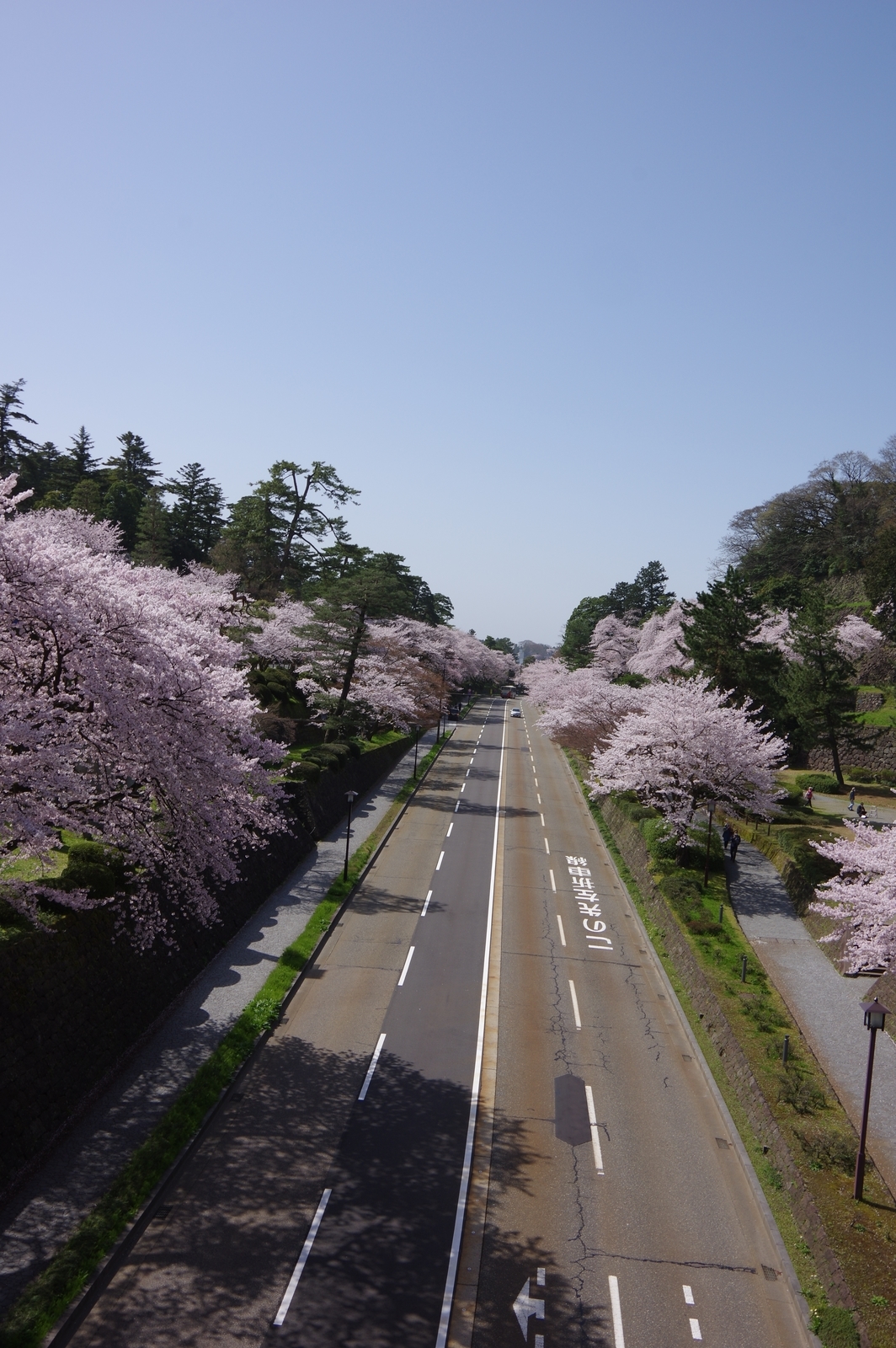 f:id:k10no3:20210331102017j:plain