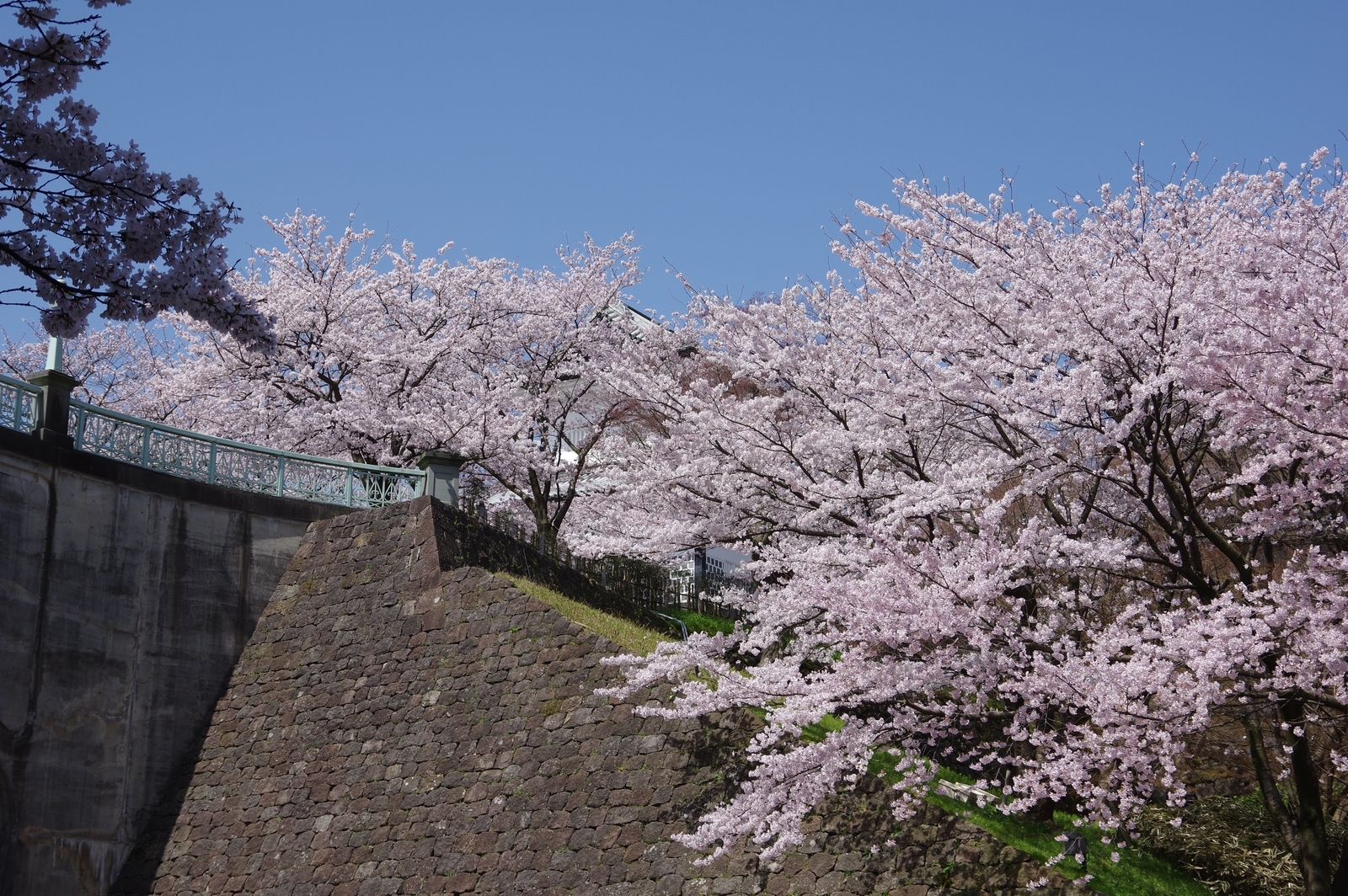 f:id:k10no3:20210331102356j:plain