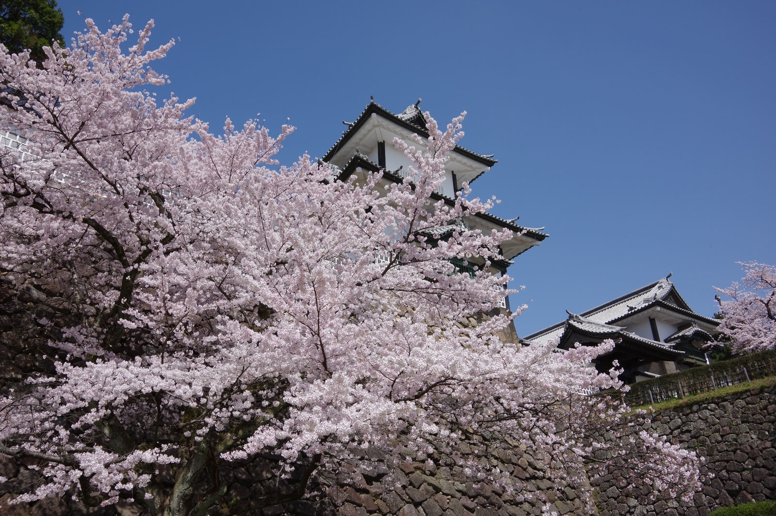 f:id:k10no3:20210331103804j:plain