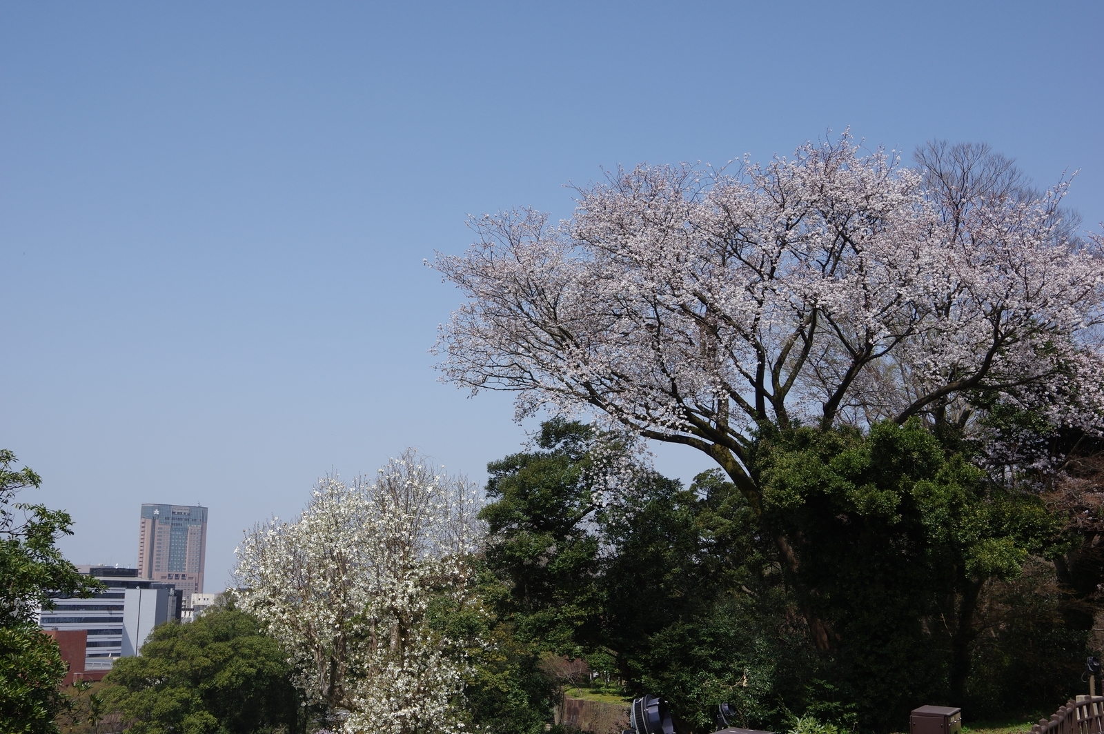 f:id:k10no3:20210331113843j:plain