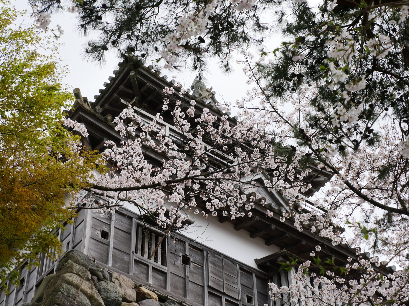 f:id:k10no3:20210402134625j:plain