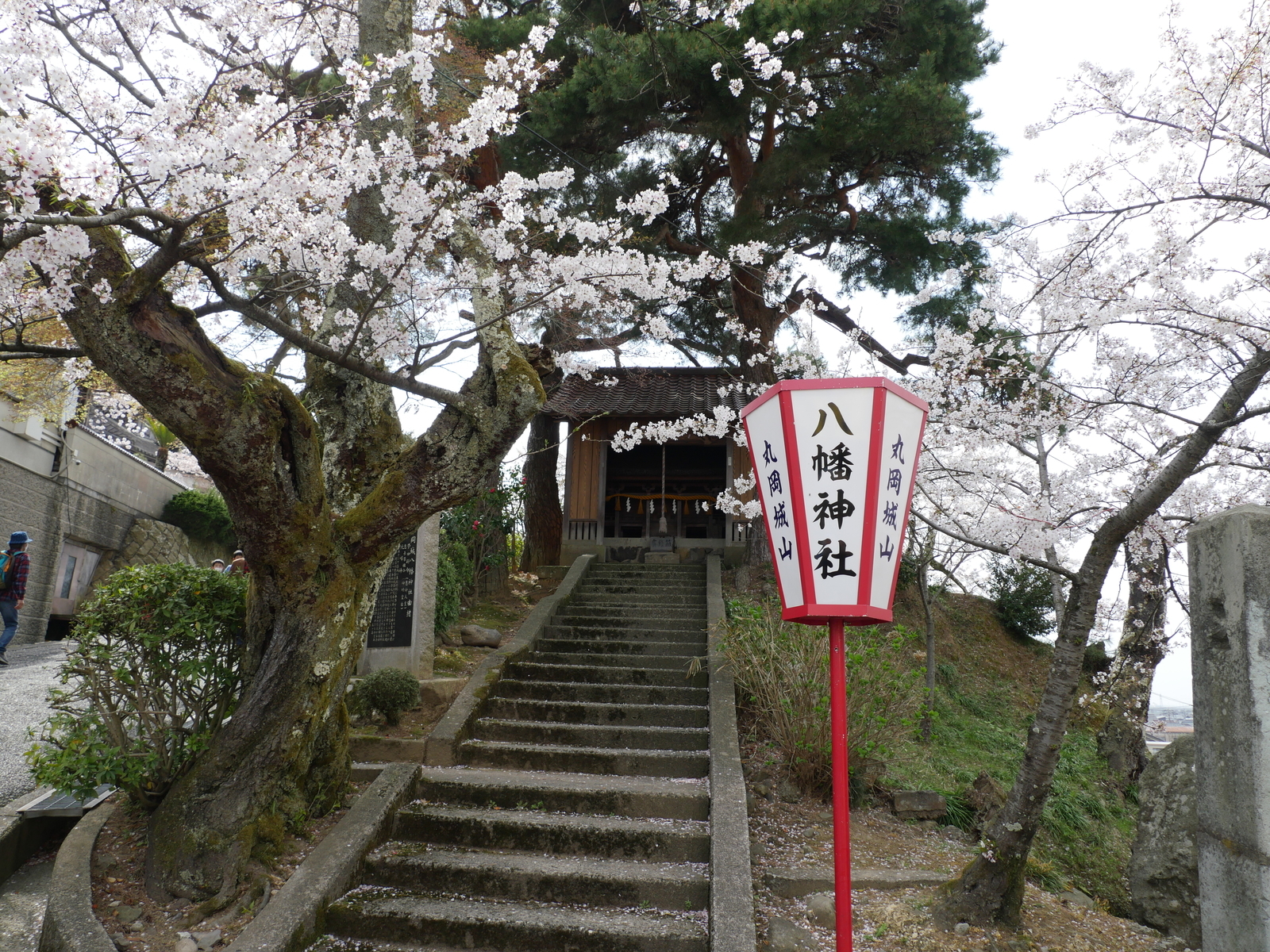 f:id:k10no3:20210402134901j:plain