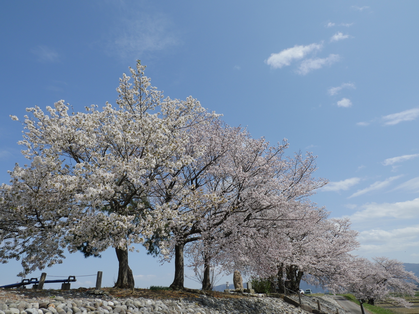 f:id:k10no3:20210403115954j:plain